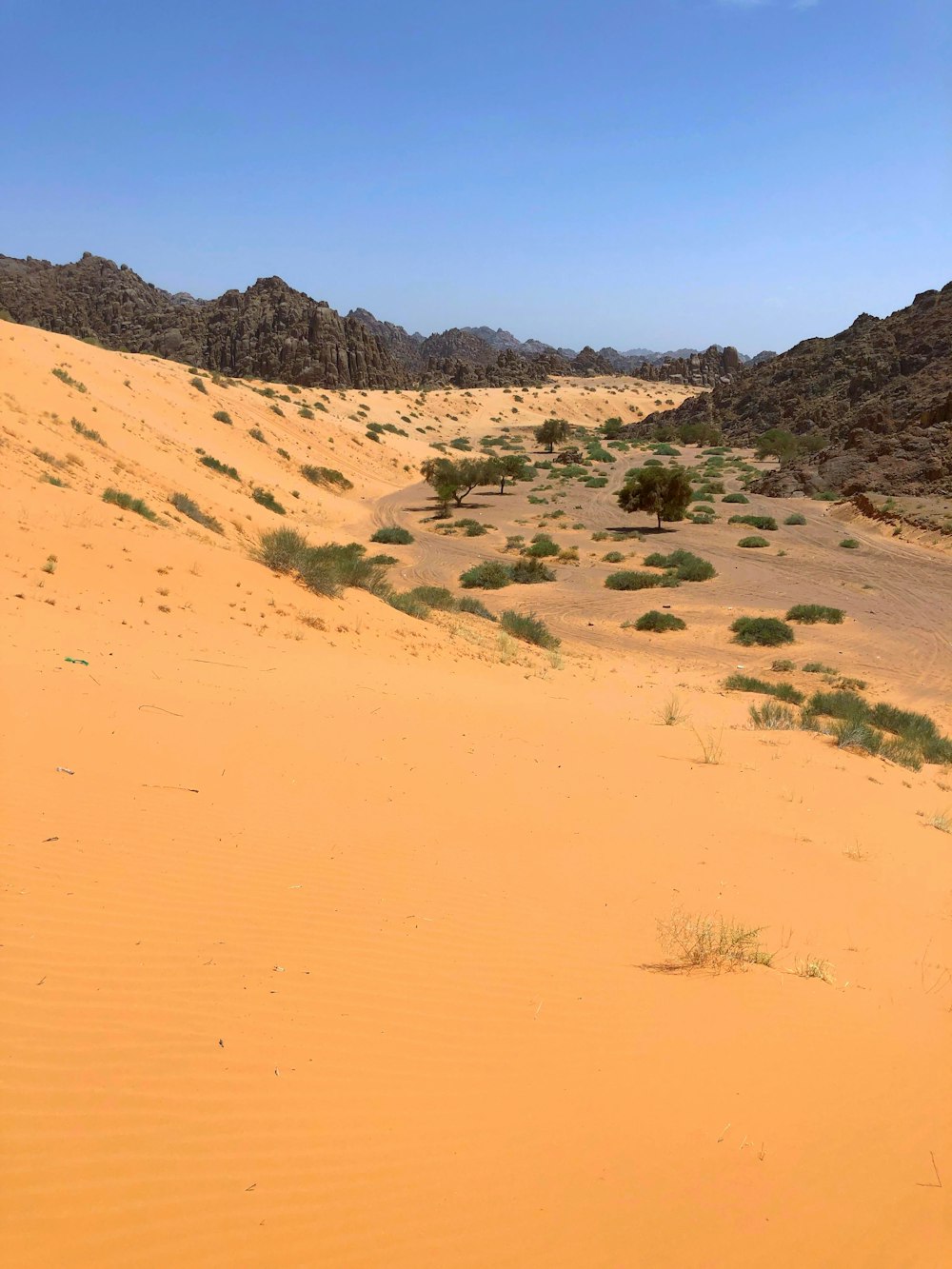 a sandy desert with hills with Coral Pink Sand Dunes State Park in the background