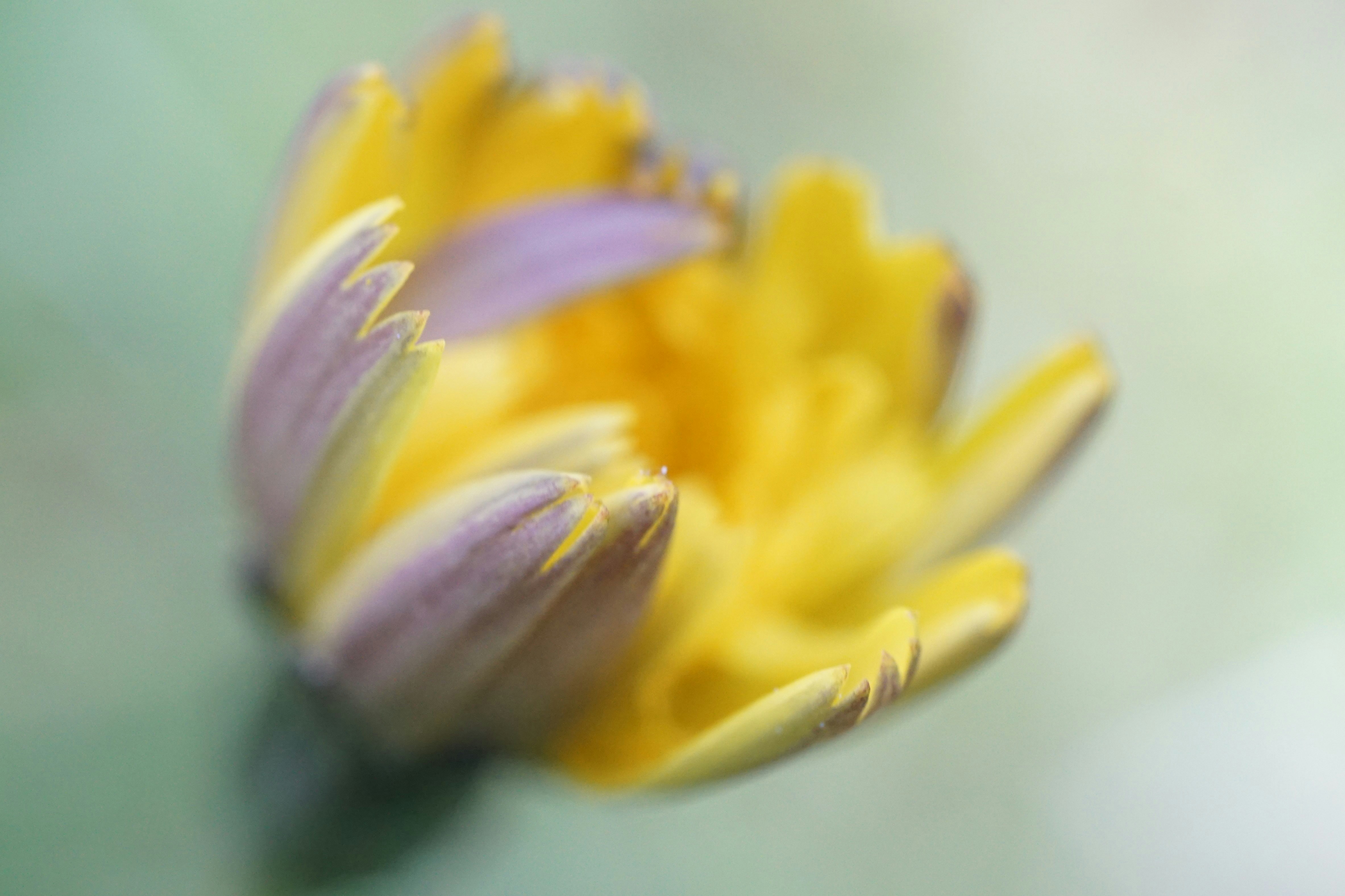 Photo by mostlymarvelling