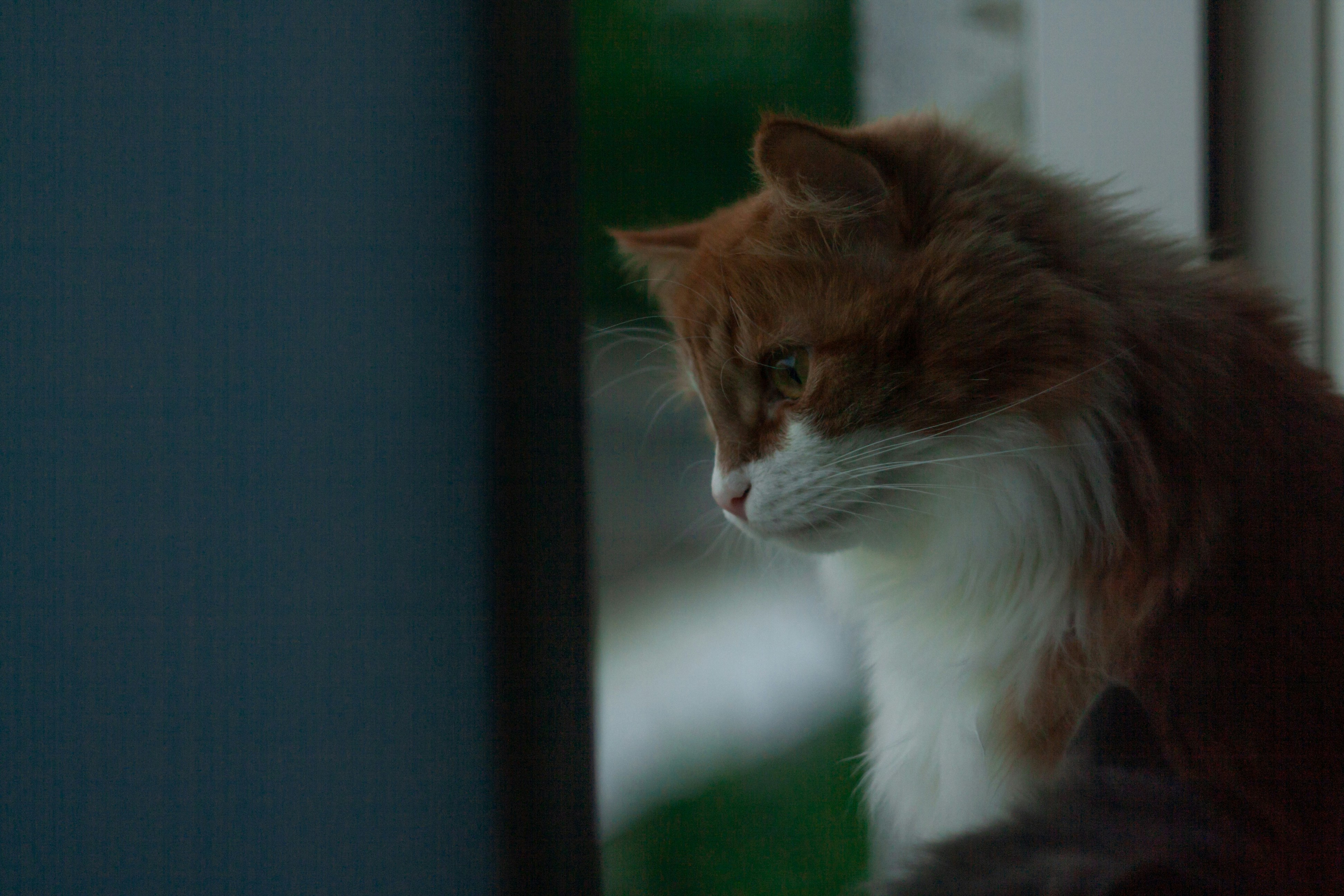 Photo by antohakraev