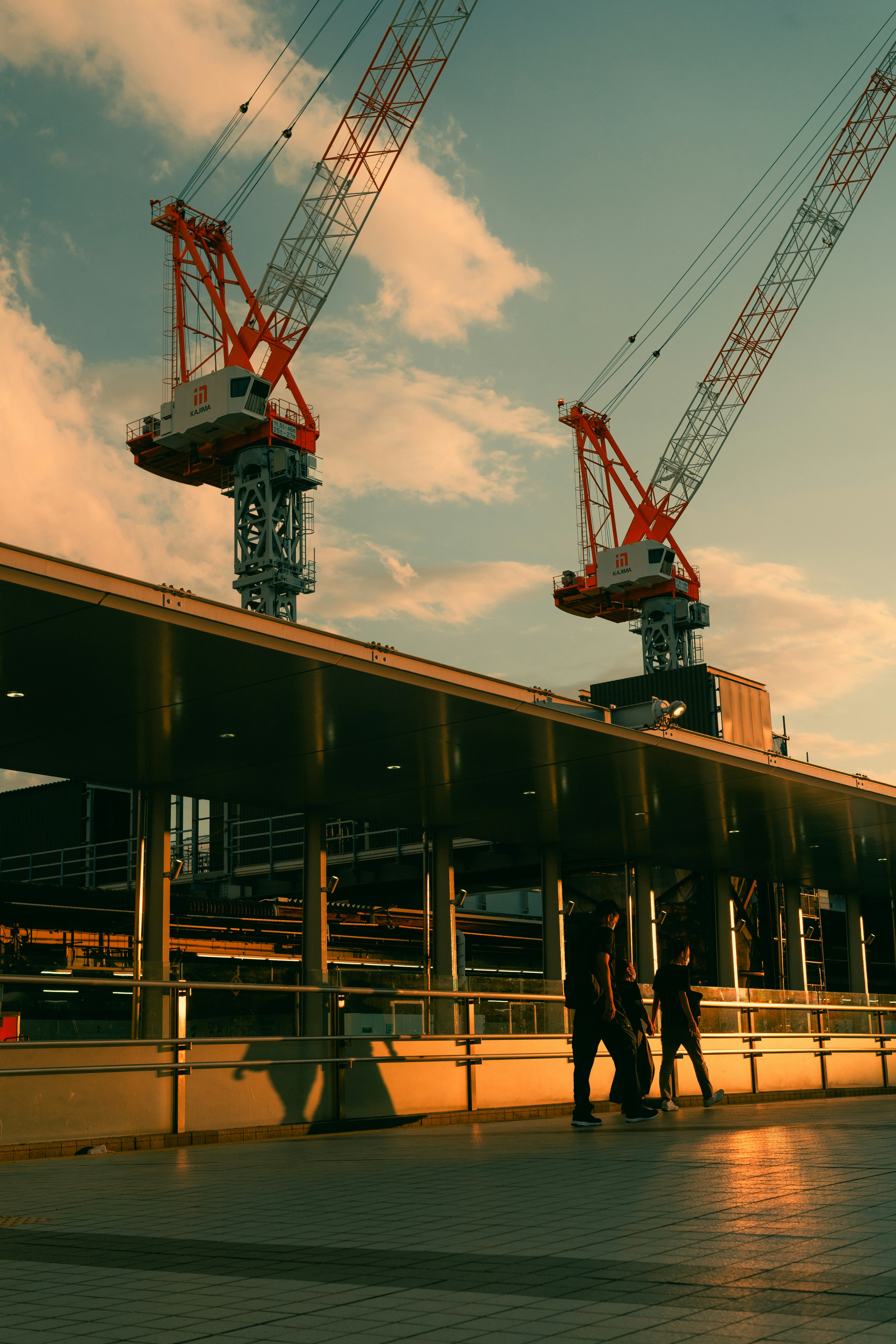 a group of people standing on a bridge with cranes