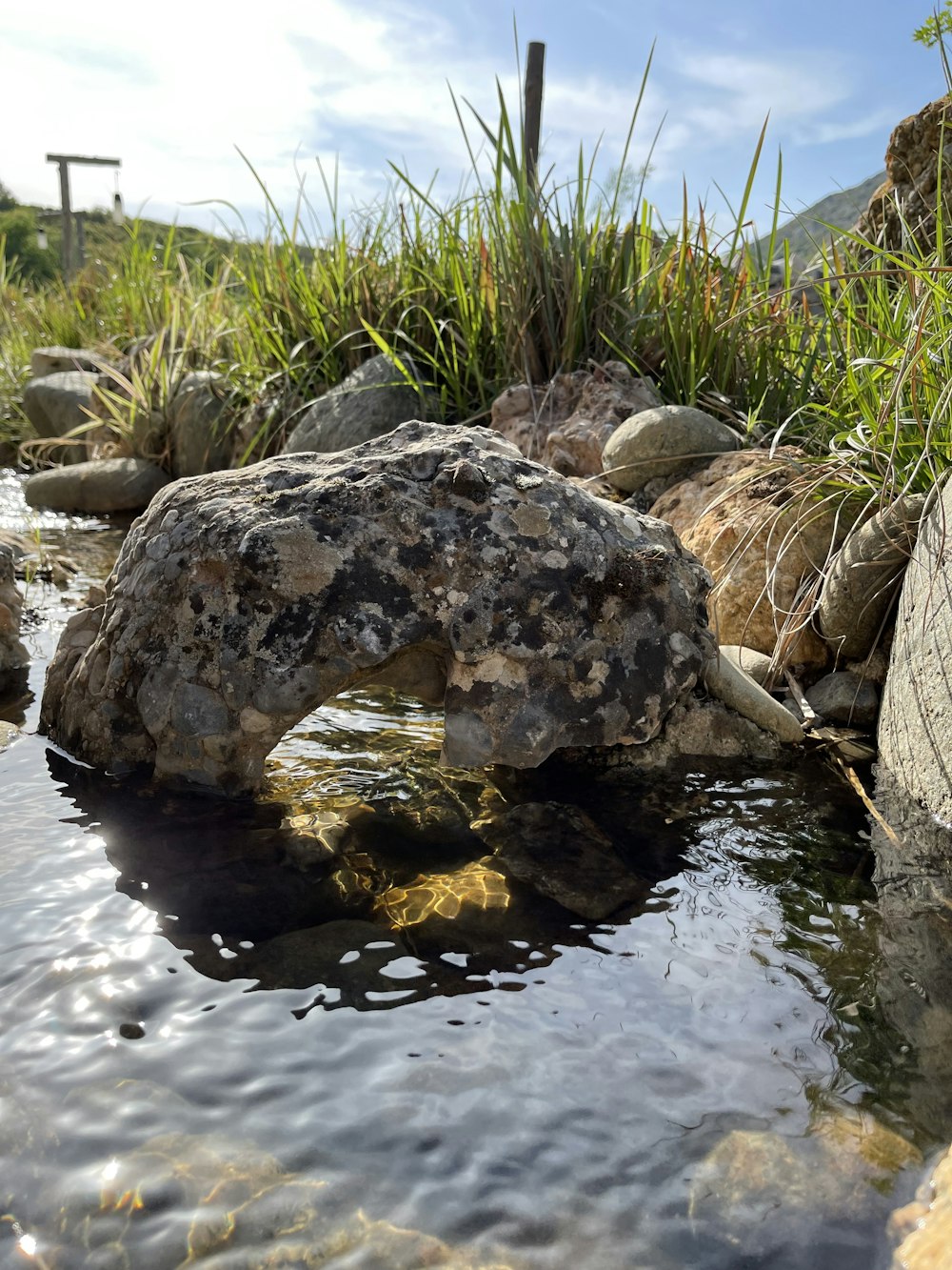 a stream of water with rocks and grass