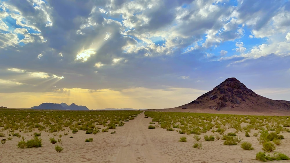 a desert landscape with mountains in the background