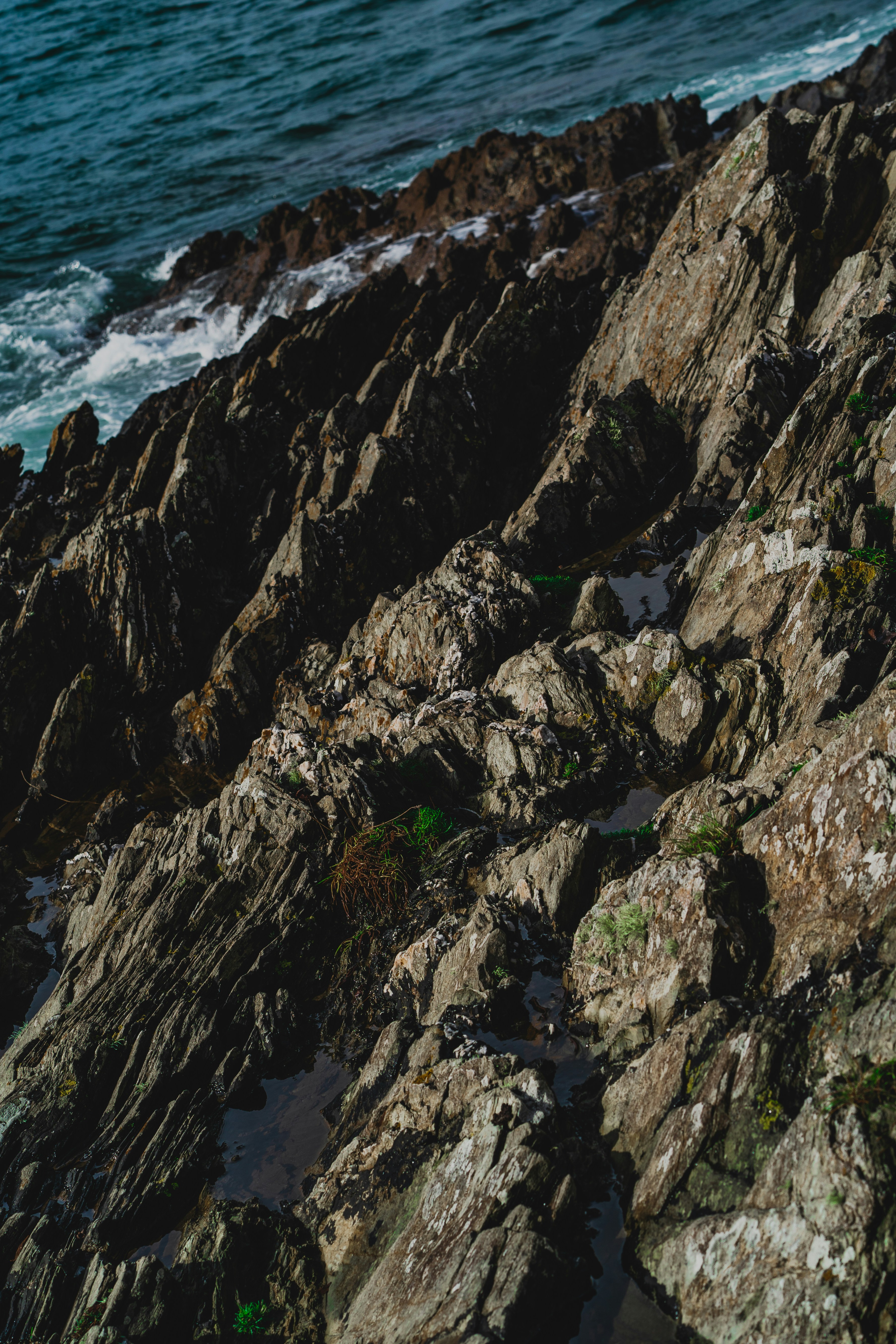 Photo by winstontjia