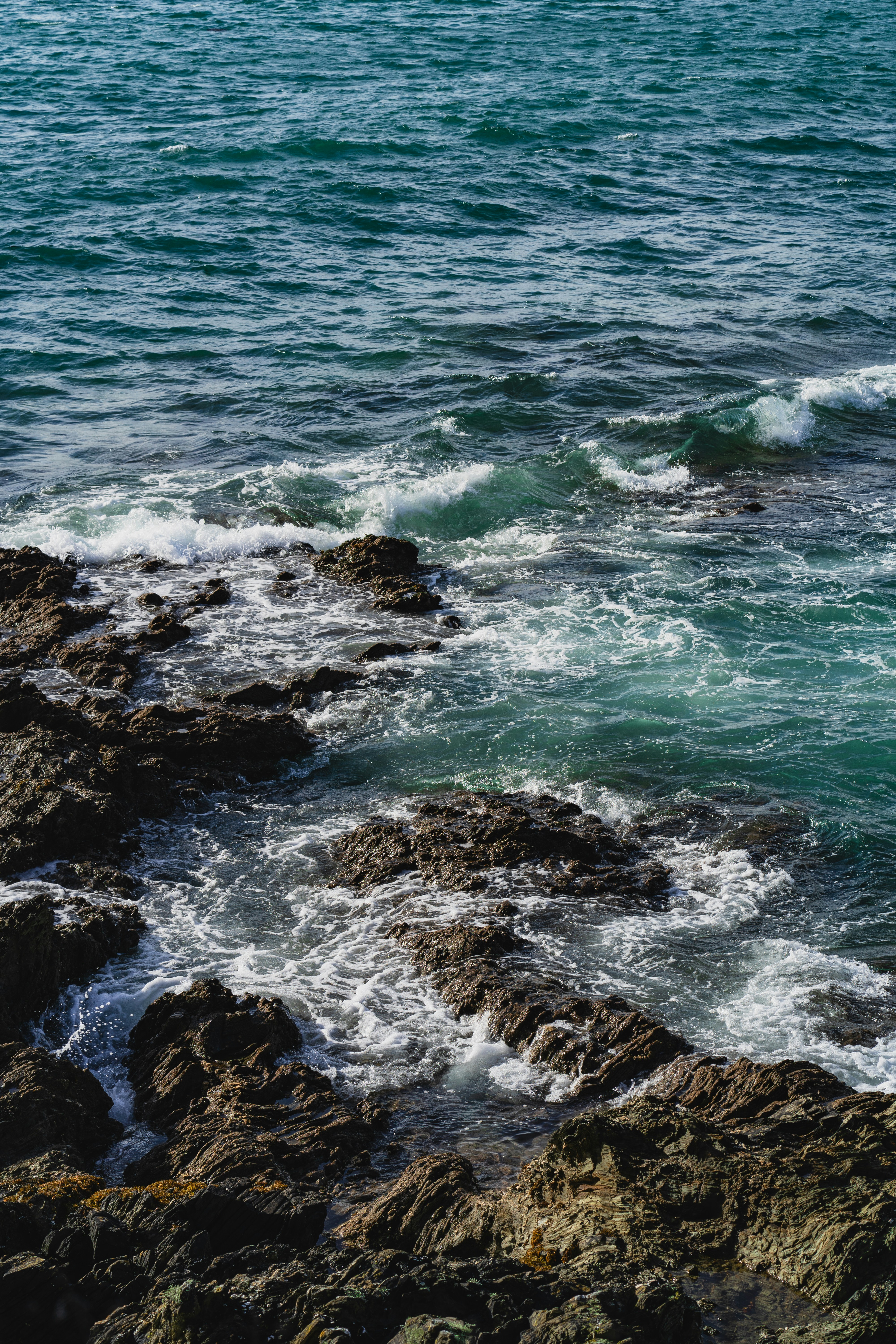 Photo by winstontjia