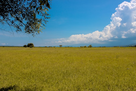 photo of Baluran National Park Natural landscape near Ijen