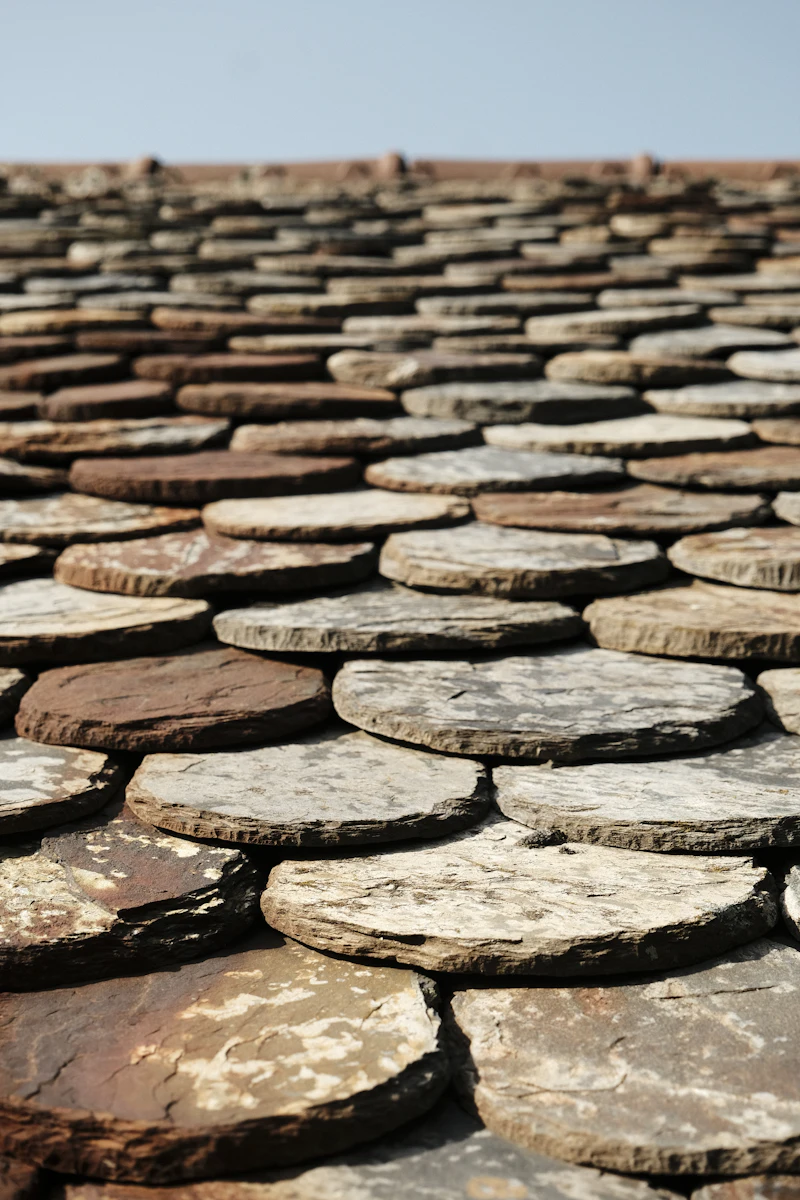 Close-up inspection of a shingle roof