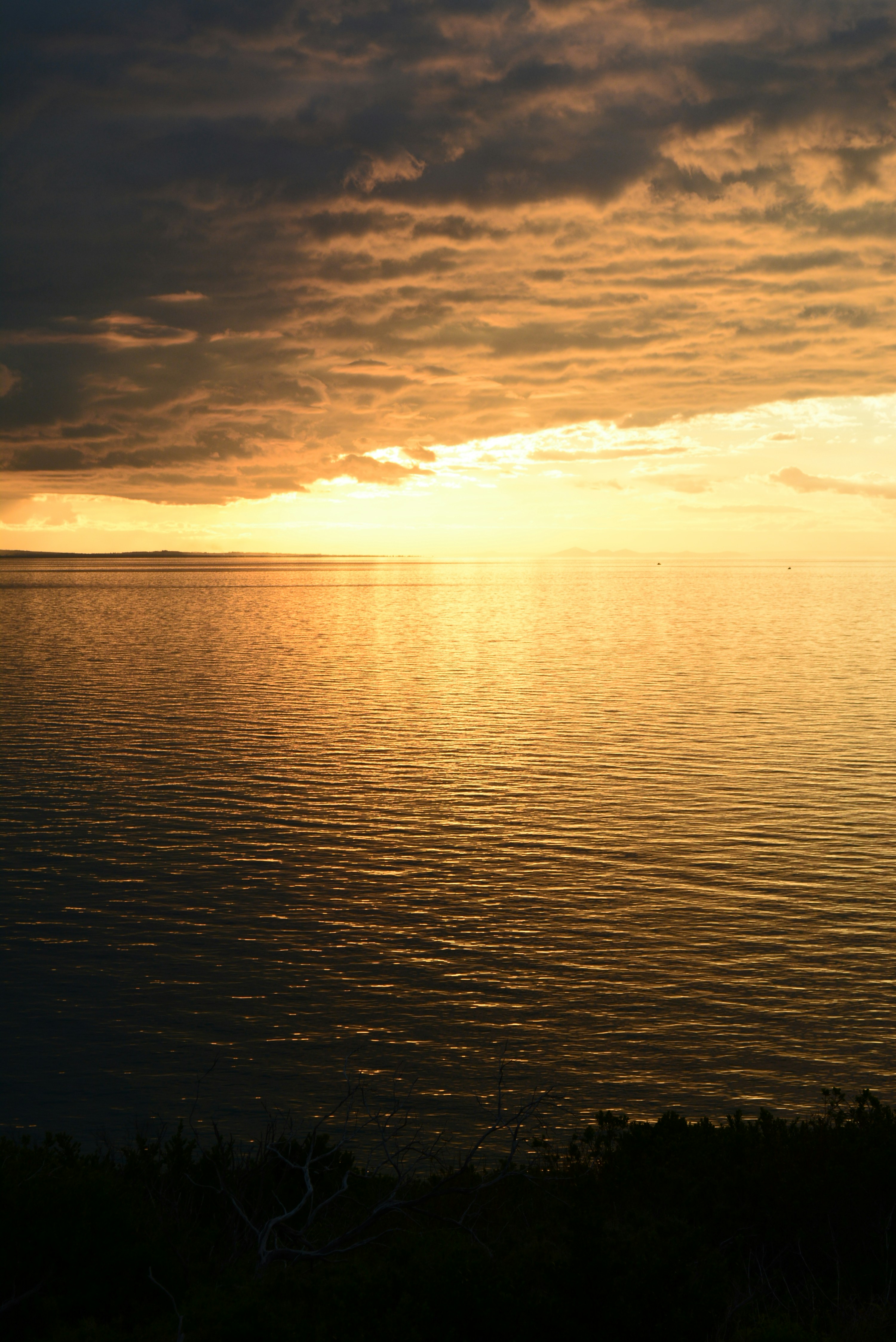 Photo by richard7seals