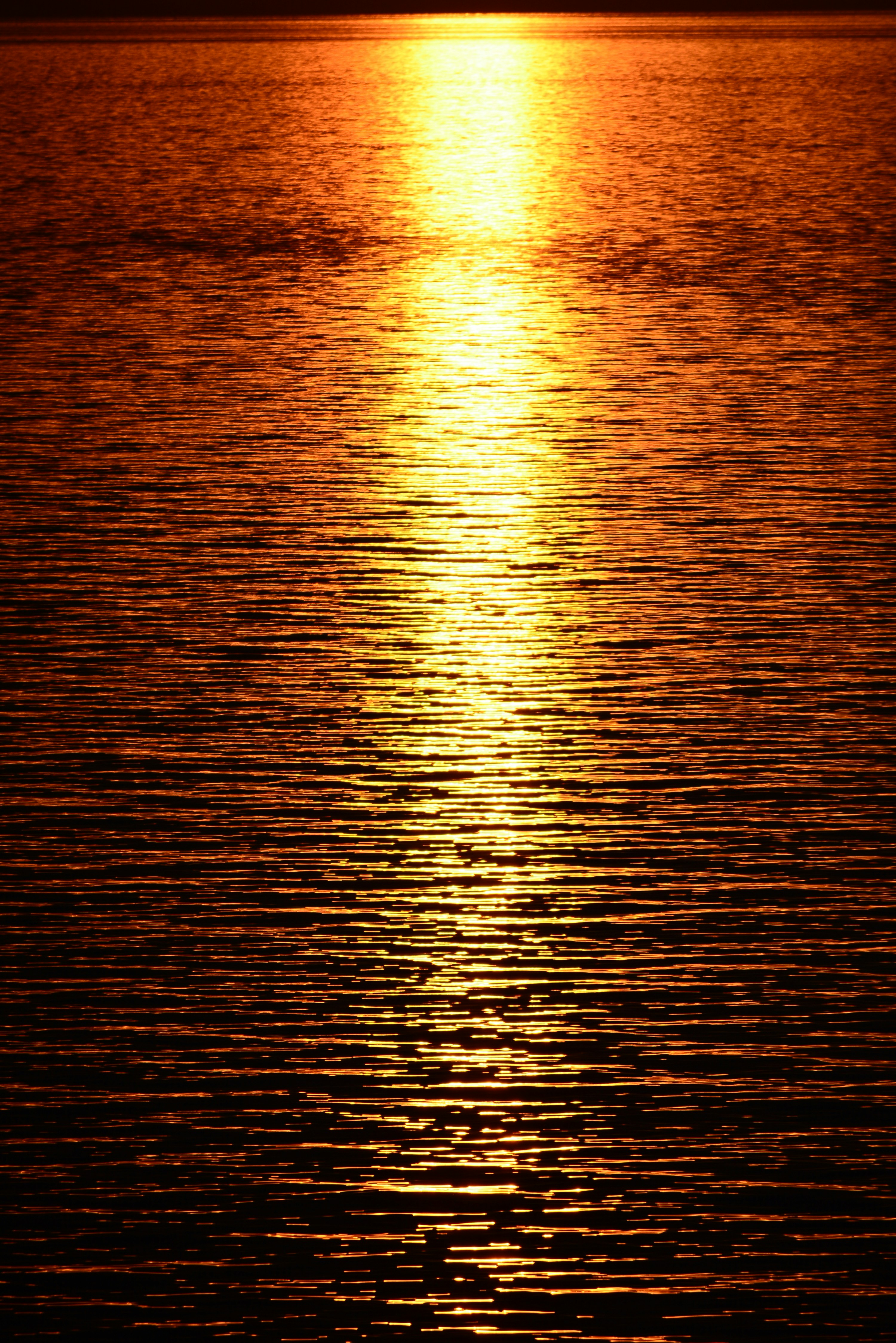 Photo by richard7seals