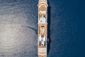 An overhead view of a large cruise ship sailing on deep blue ocean waters. The ship's top deck features rows of lounge chairs, a swimming pool, a circular glass dome structure, and various recreational areas. The symmetry and layout of the ship are clearly visible from this angle.