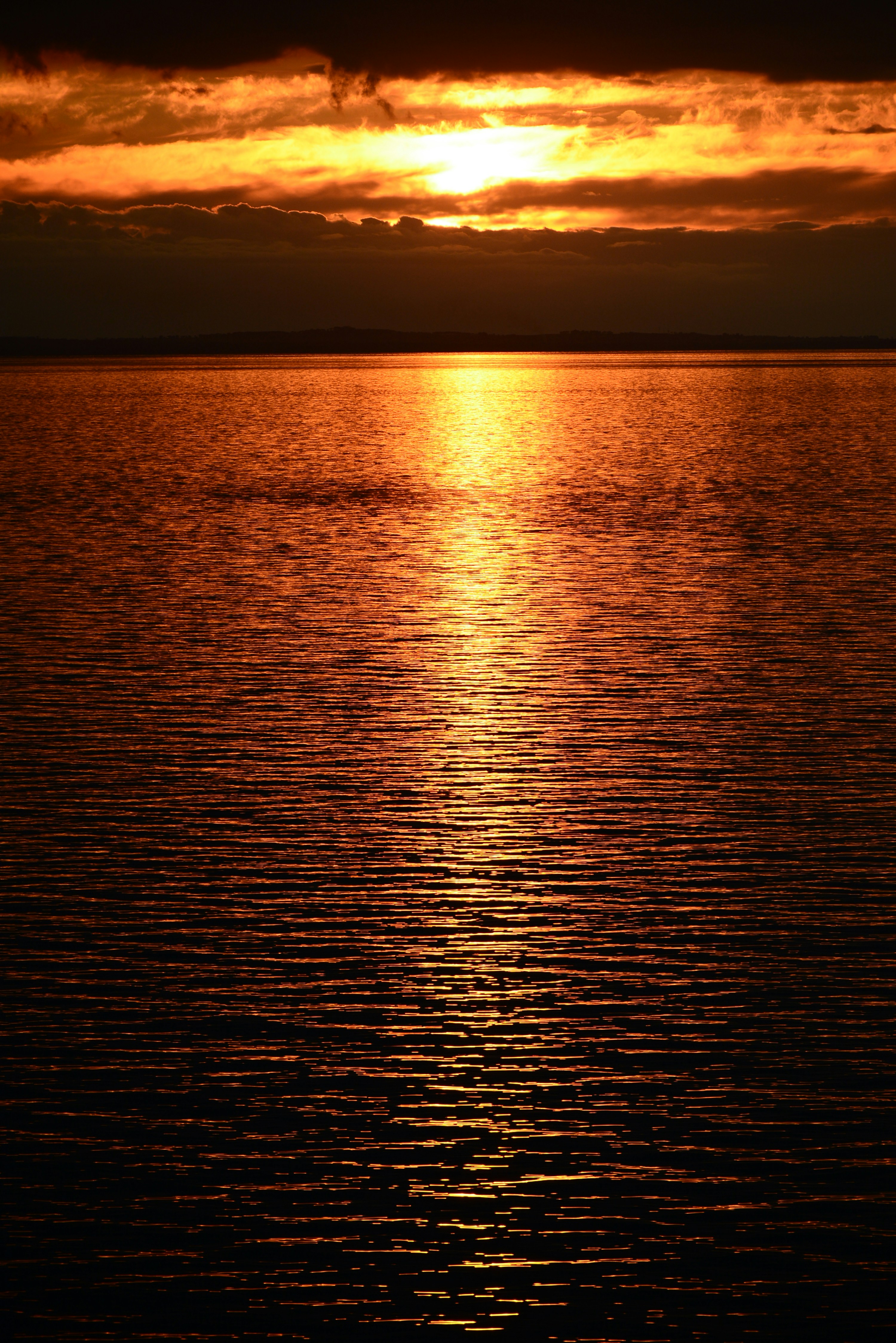 Photo by richard7seals