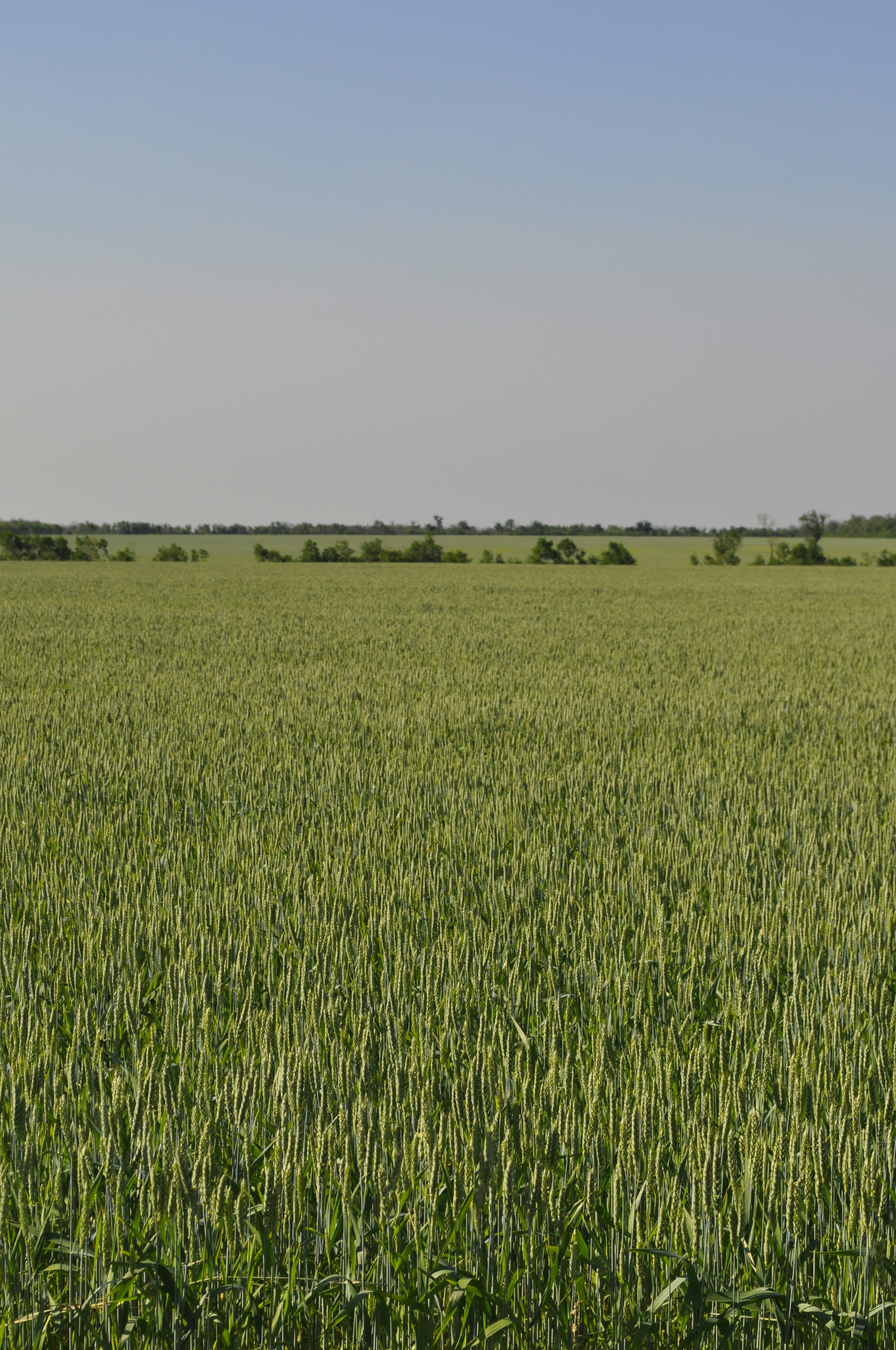 Photo by vallenciiaga_