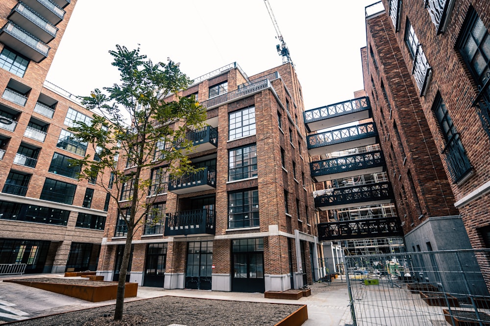 a building with a tree in front