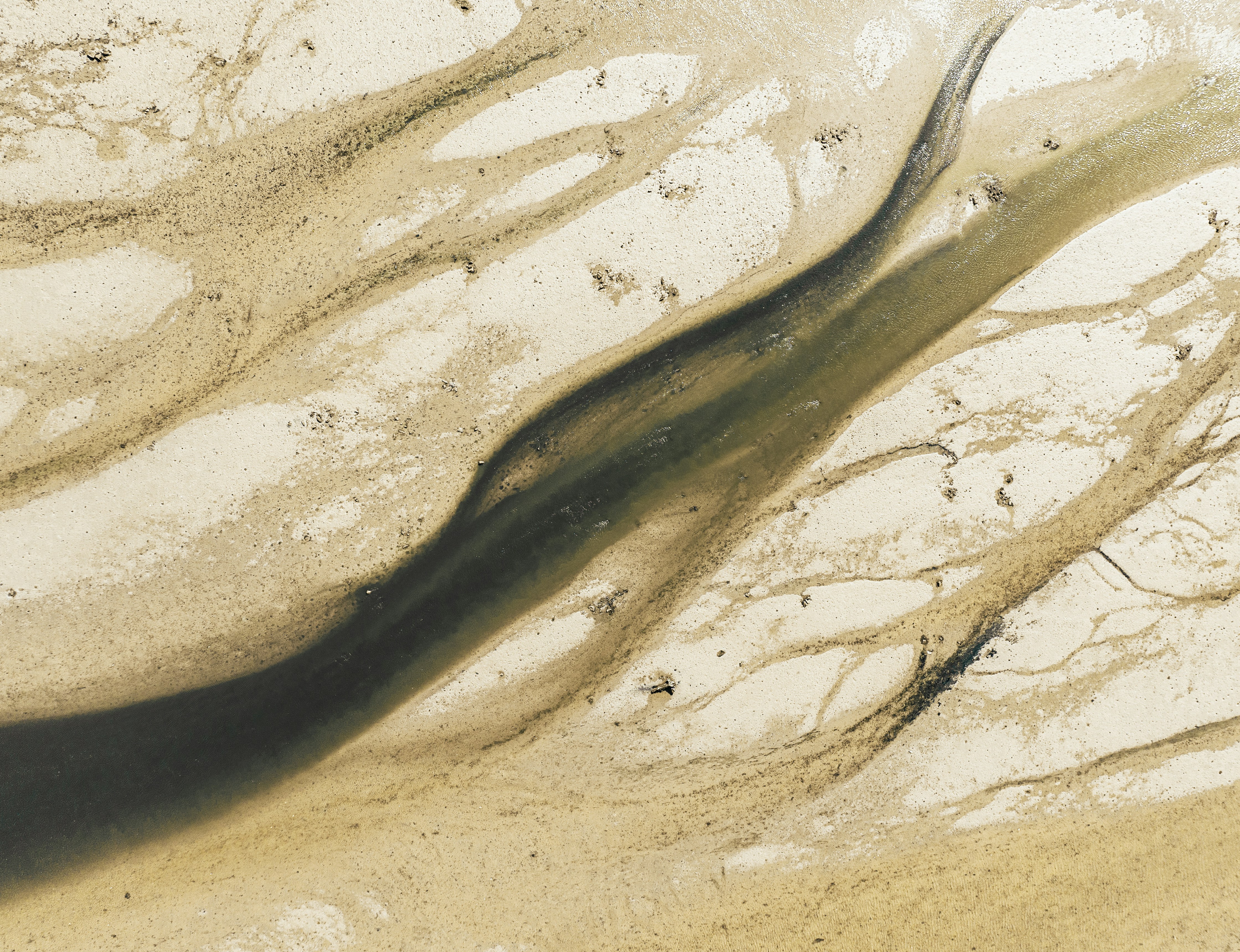 Photo by juniperphoton