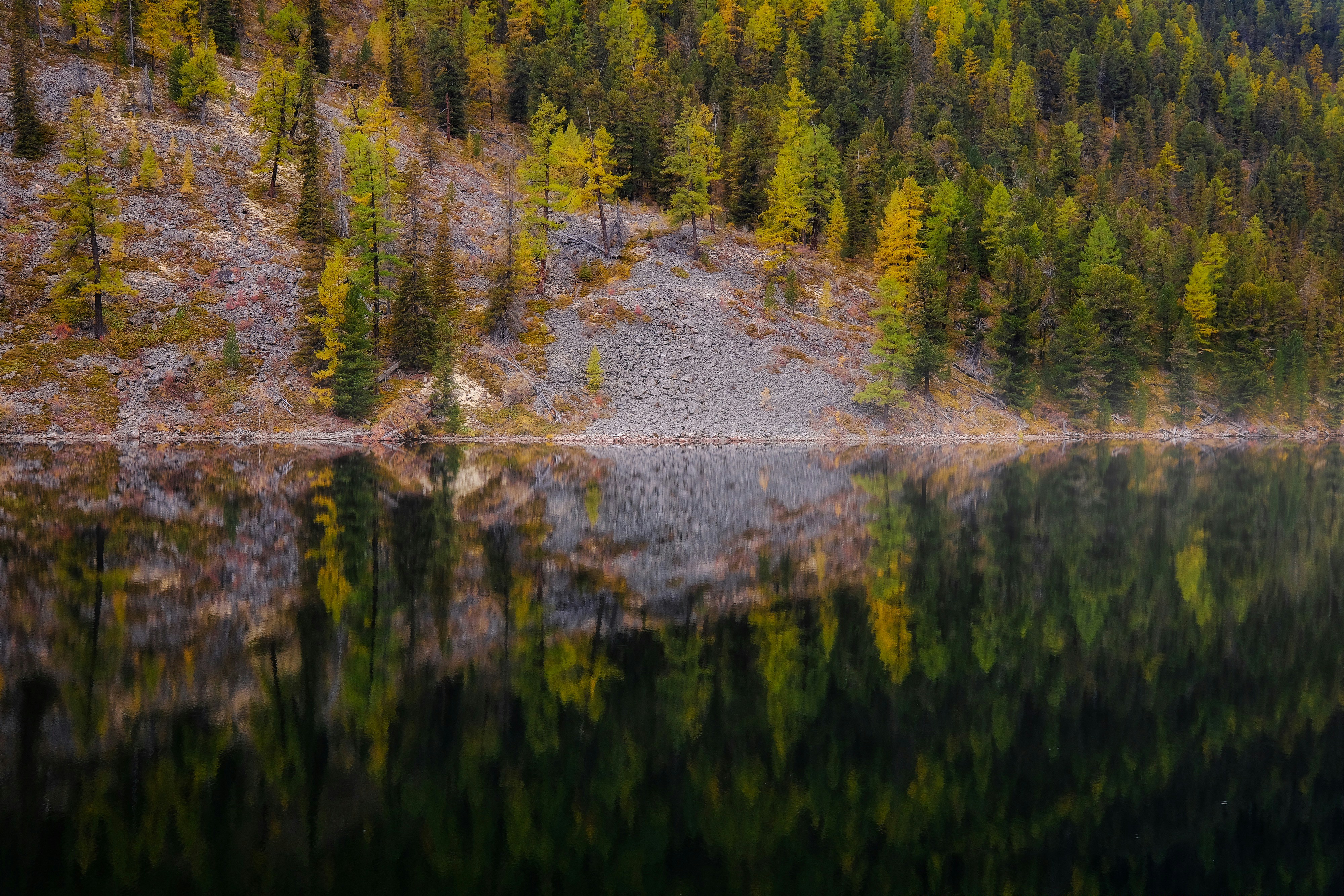 Photo by mrparalloid