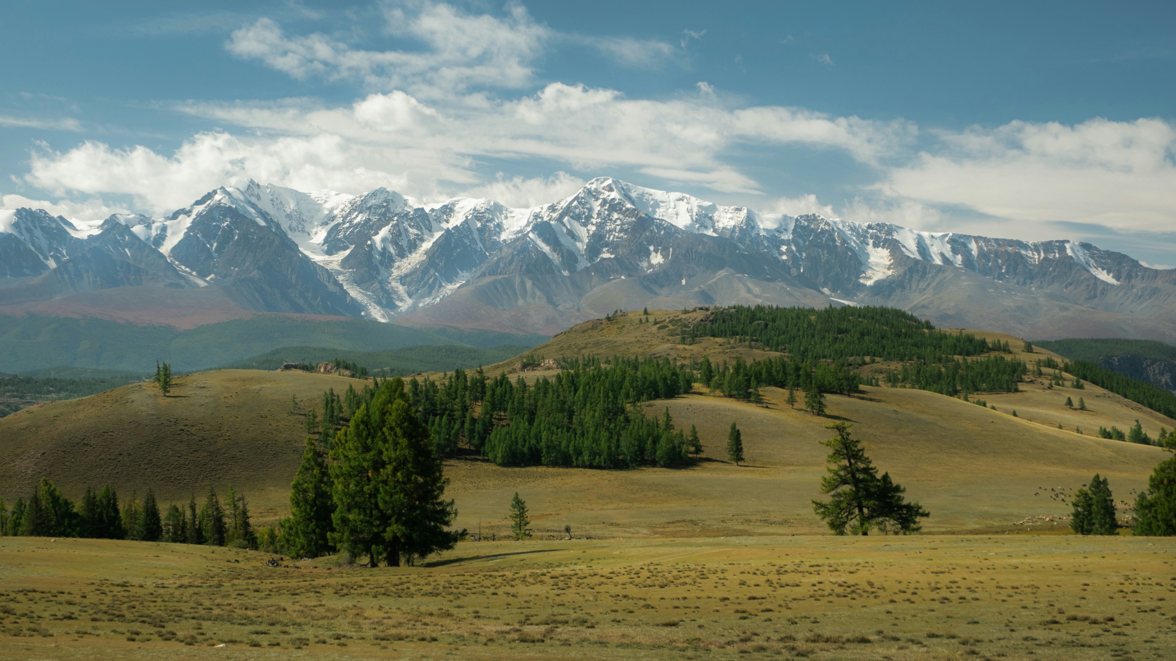 Photo by mrparalloid