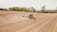 A tractor is working in a large, plowed agricultural field with trees in the background. The machinery is spreading over the field, preparing the soil for planting.