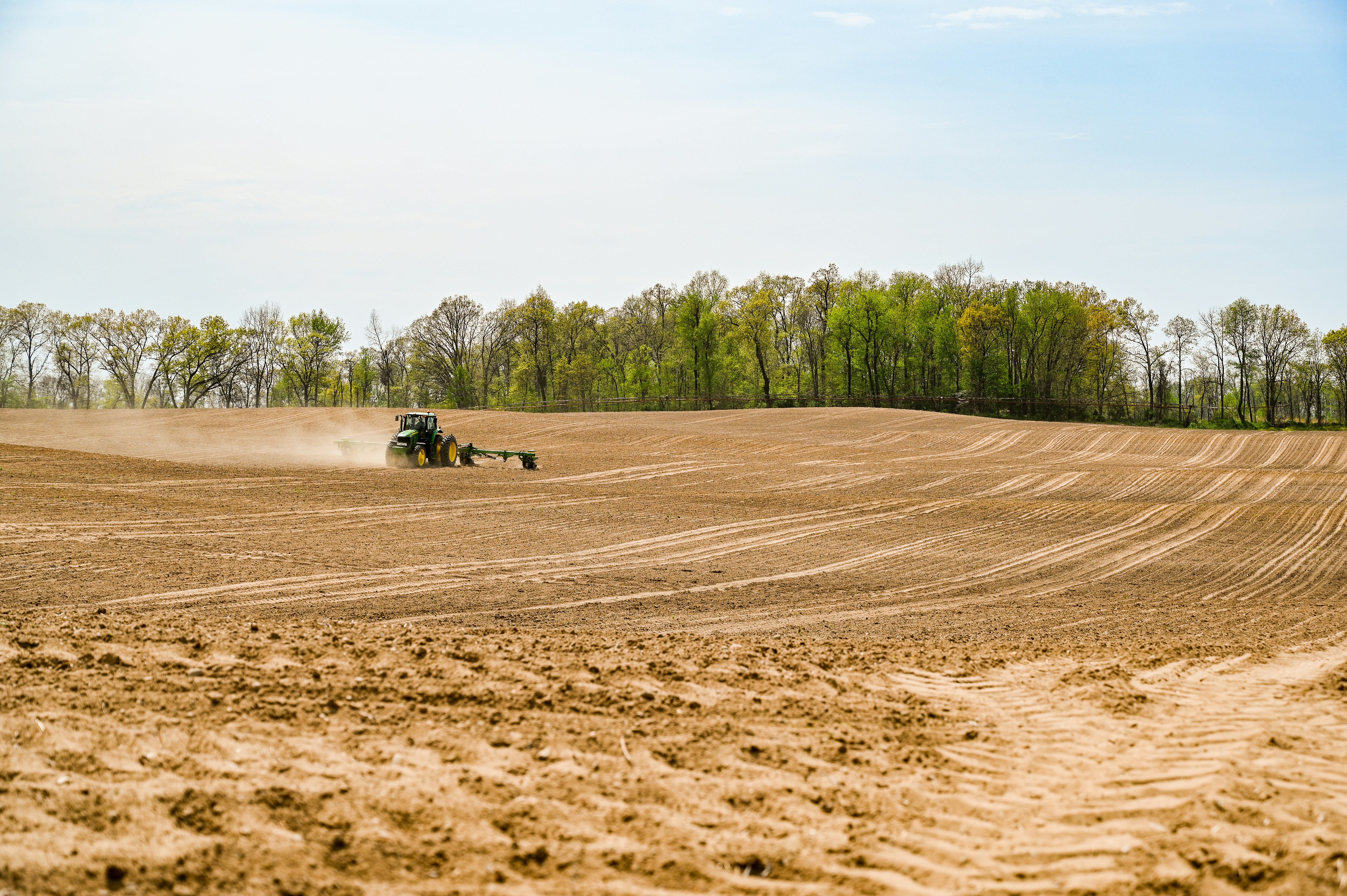 Photo by kingimaging