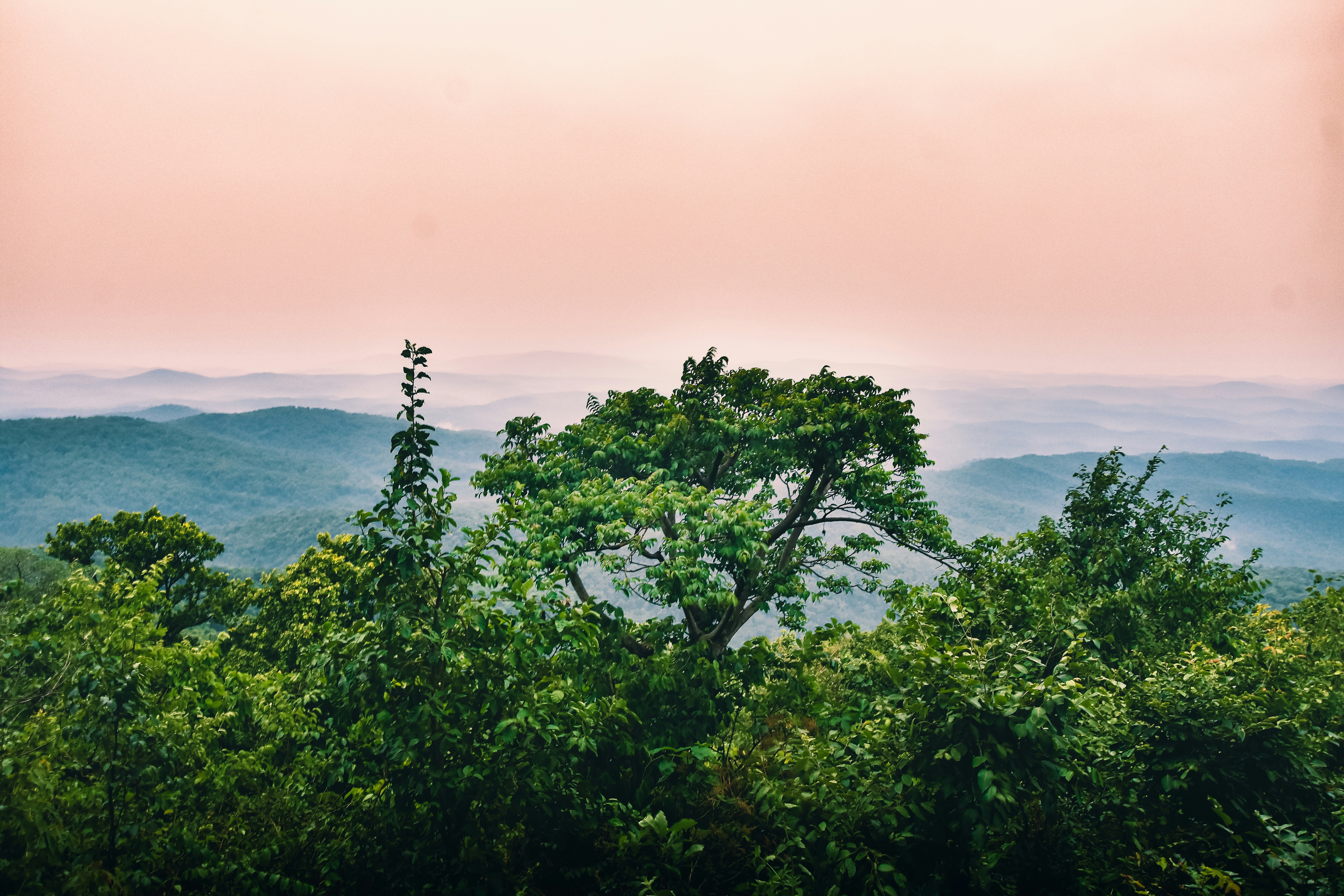 Photo by sauravmahto