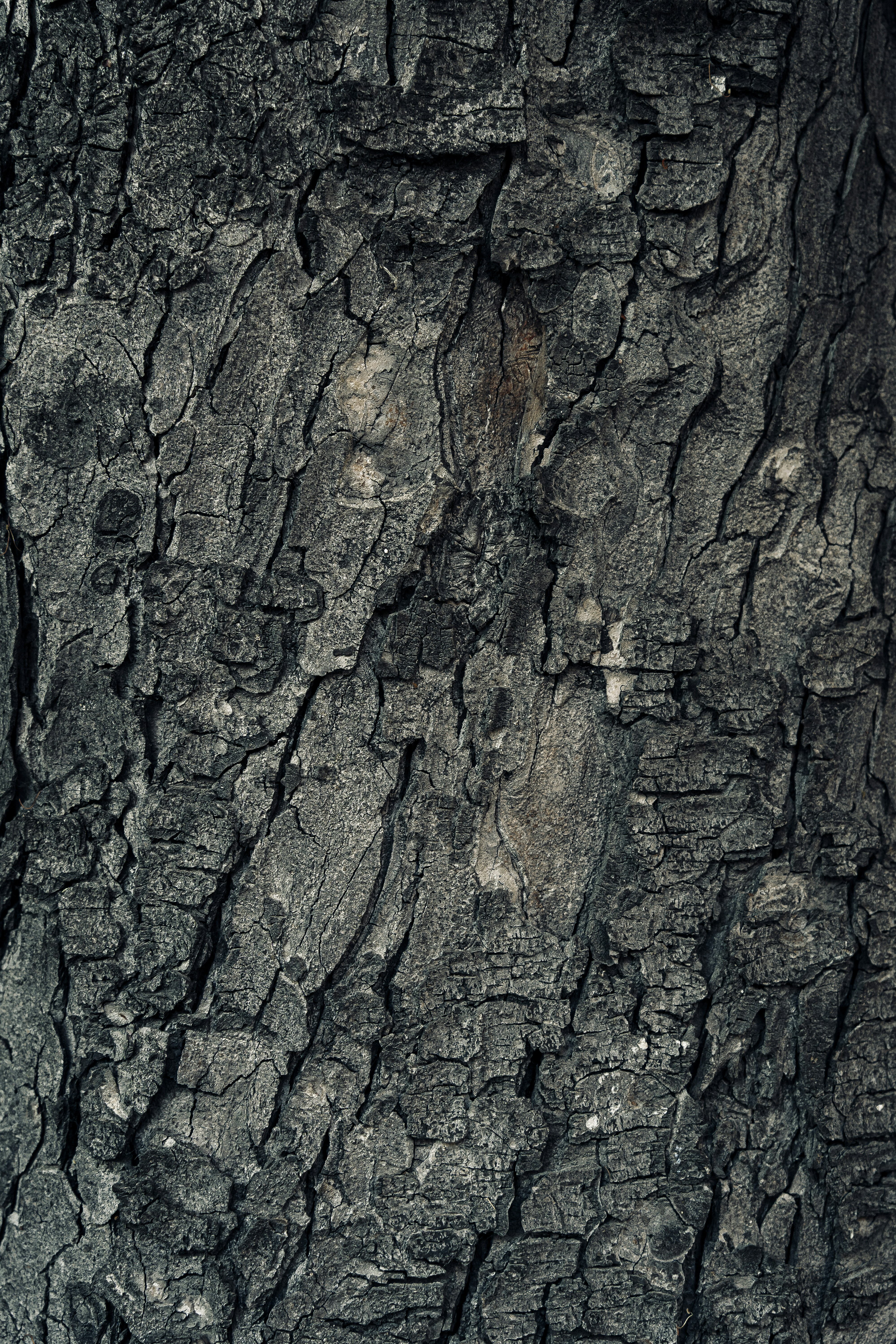 Photo by maksym_tymchyk