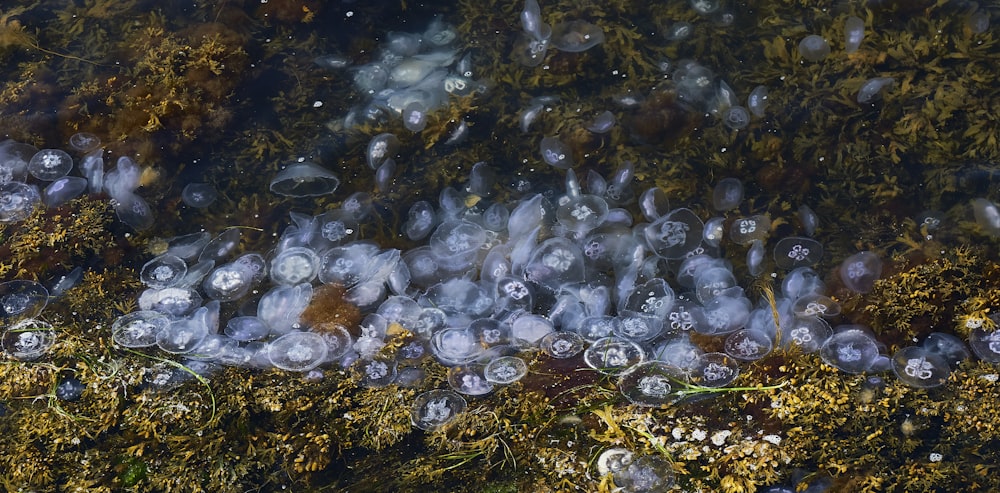 a close-up of some water