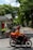 A person riding a motorcycle is captured in motion along a tree-lined urban street. The motorcycle is equipped with a large orange delivery box, and the rider is wearing a matching orange jacket and helmet. On the left, a covered sidewalk or pedestrian area is visible, and traffic cones are placed beside it. Tall trees with lush green foliage provide shade and a serene backdrop to the scene.