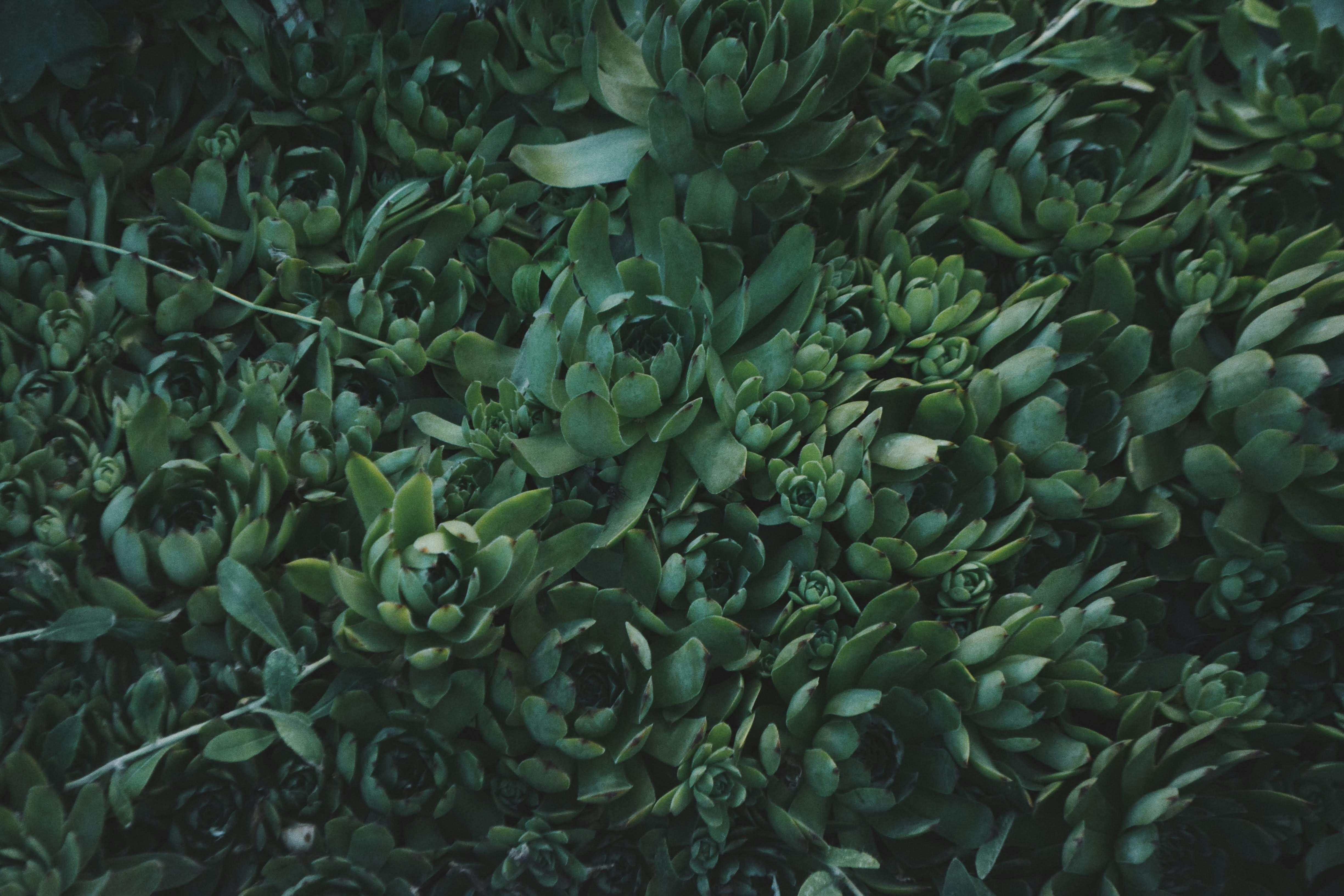 Photo by patronusmoon