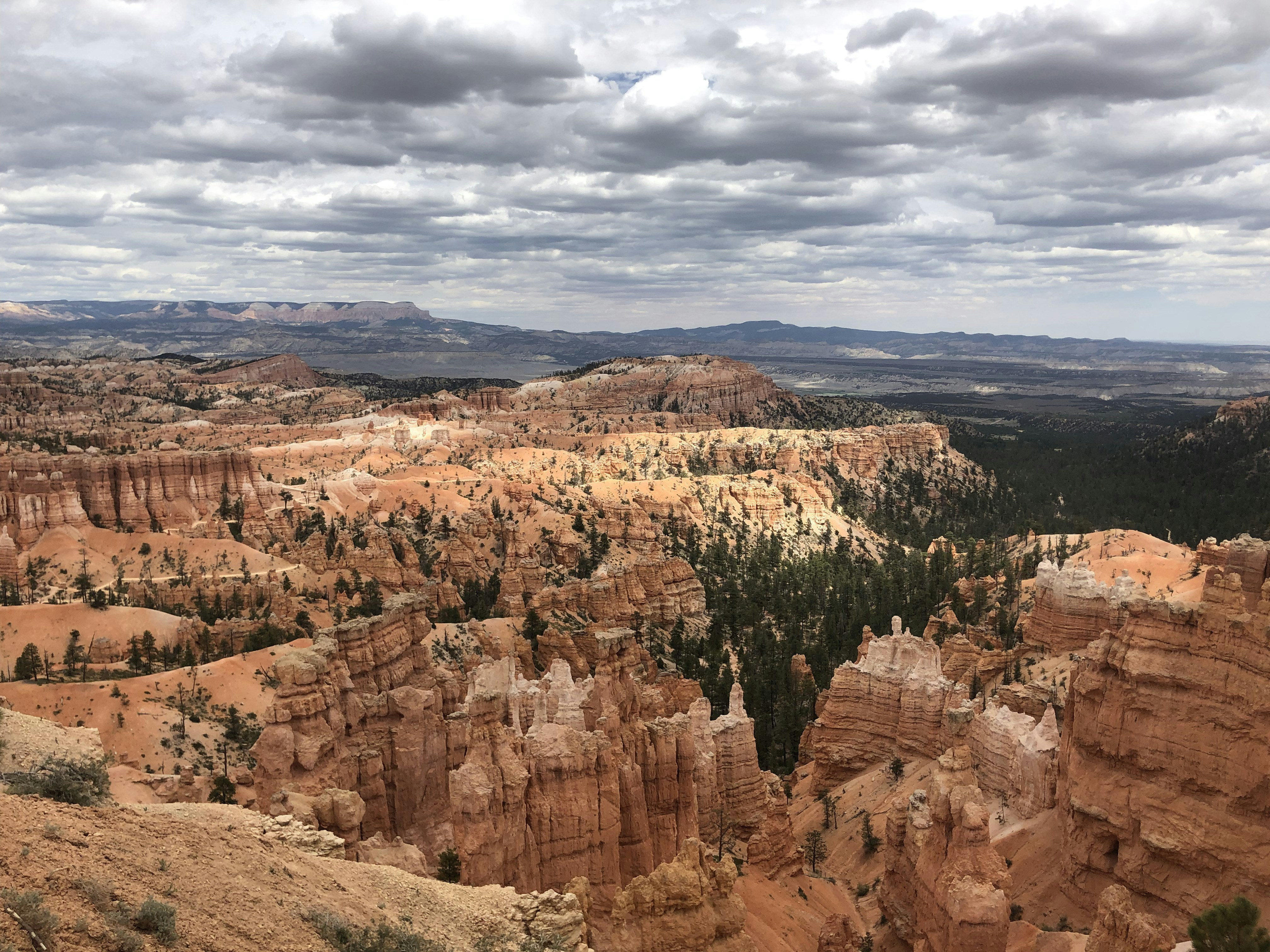 Photo by blueflame567