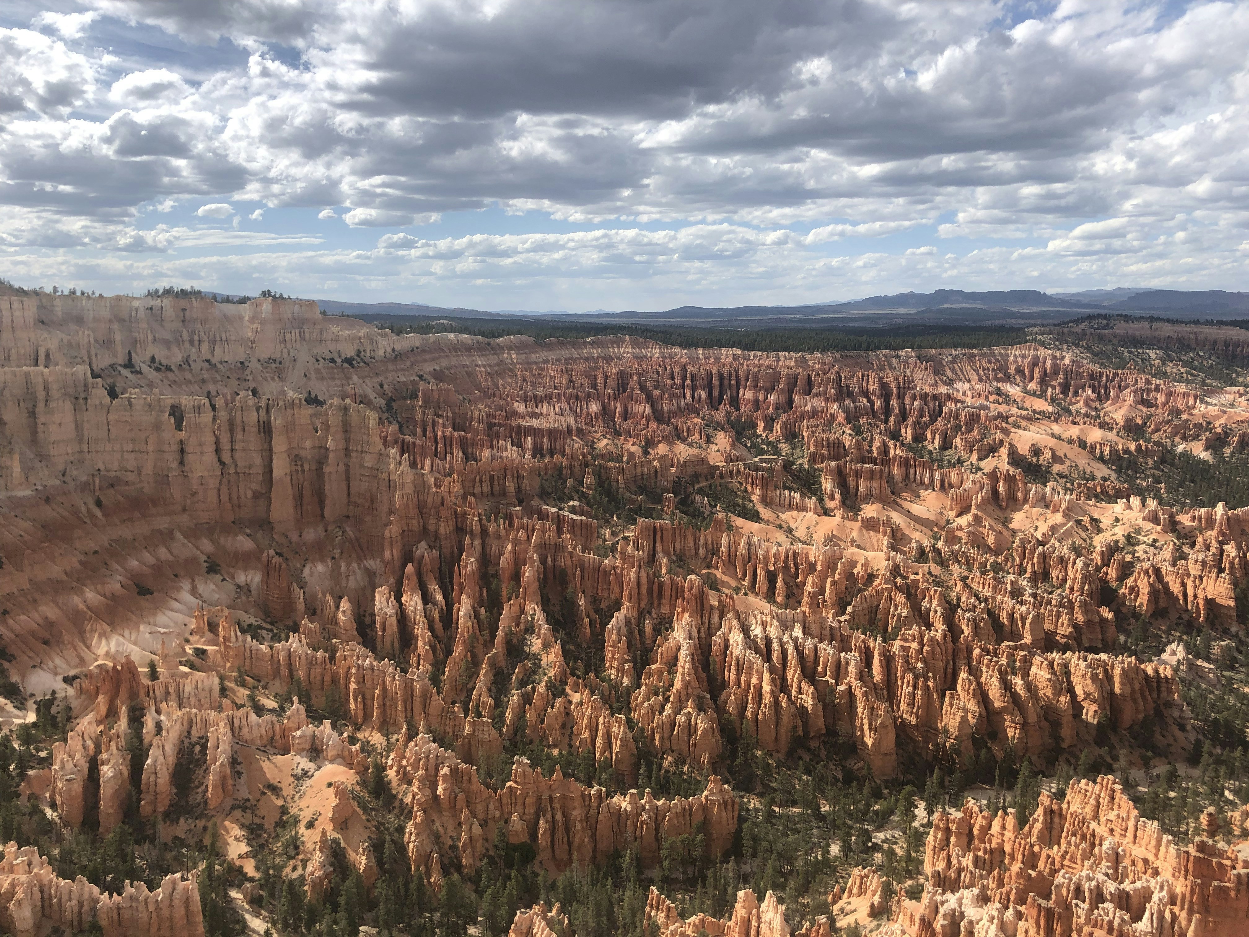 Photo by blueflame567