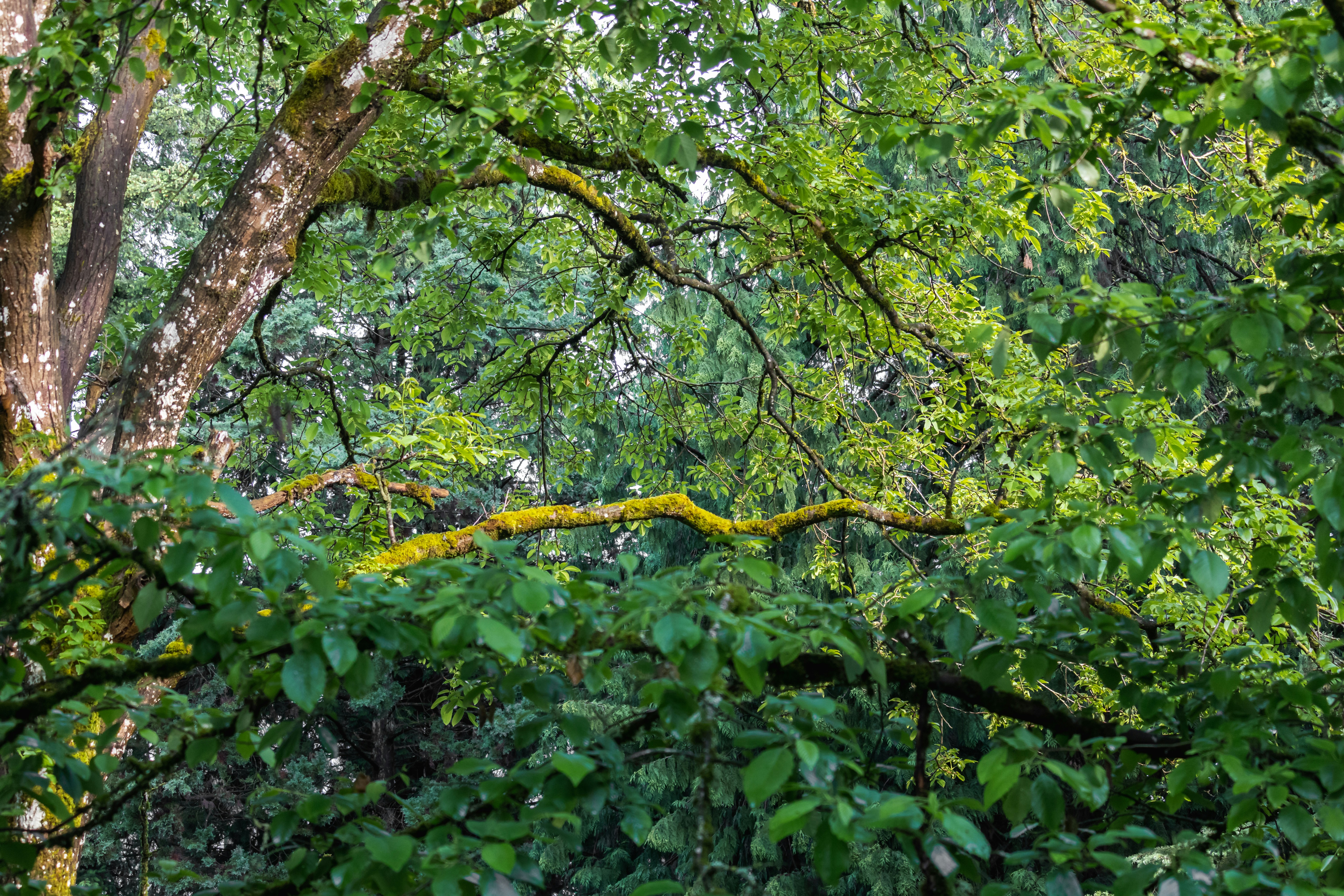 Photo by greg_rosenke