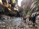 Travelers hiking through the dramatic canyons of Wadi Shab.
