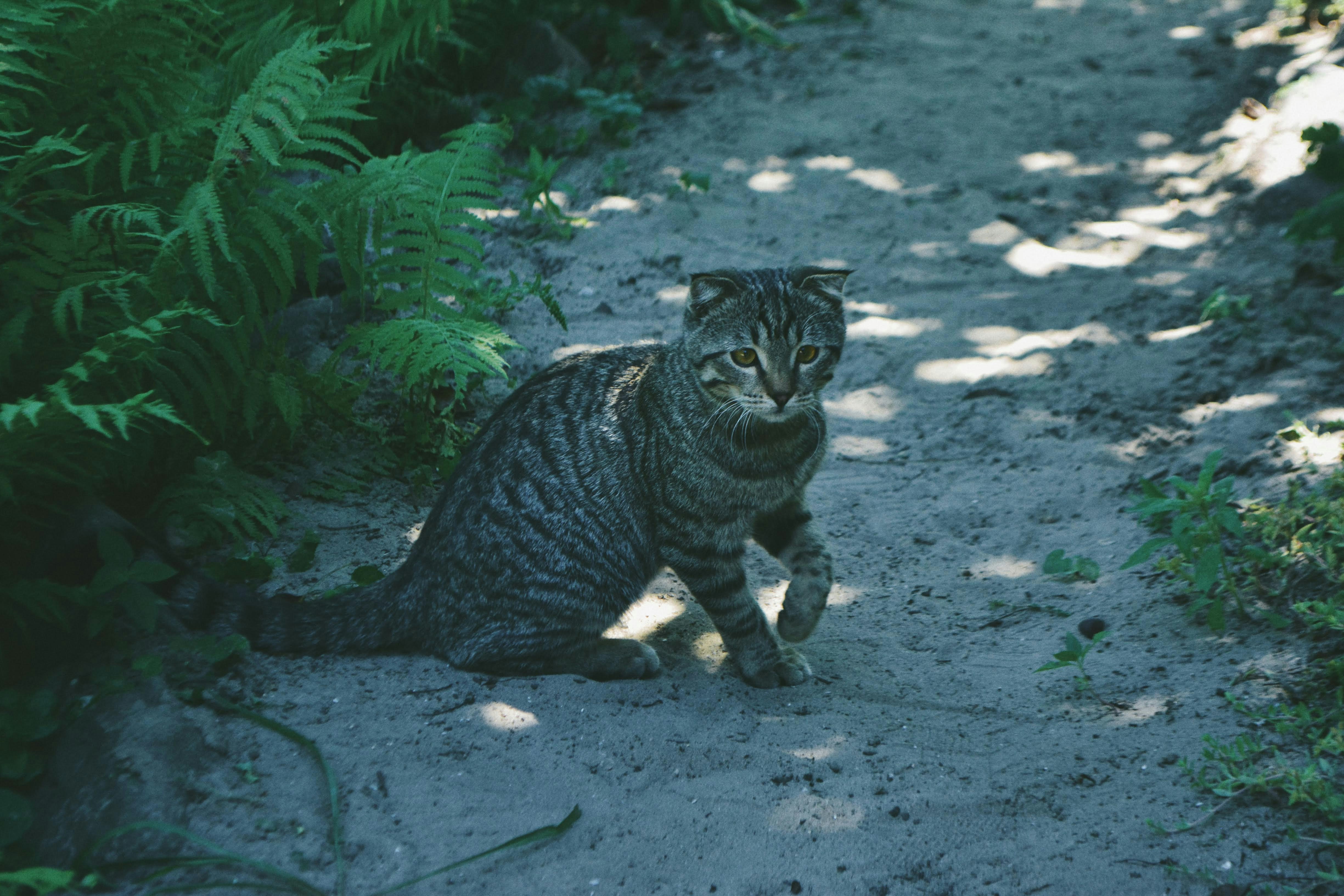 Photo by patronusmoon