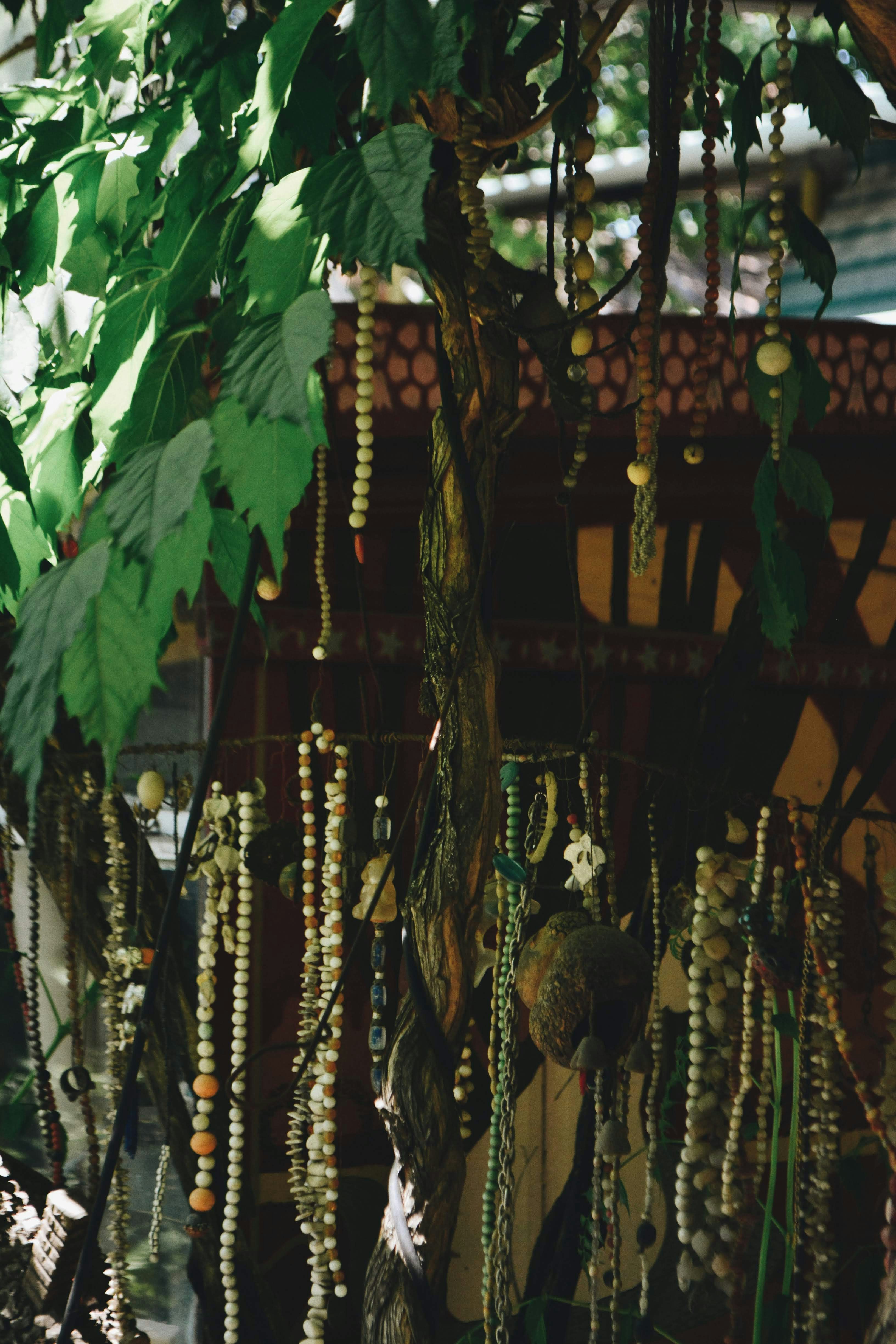 a group of birds in a tree