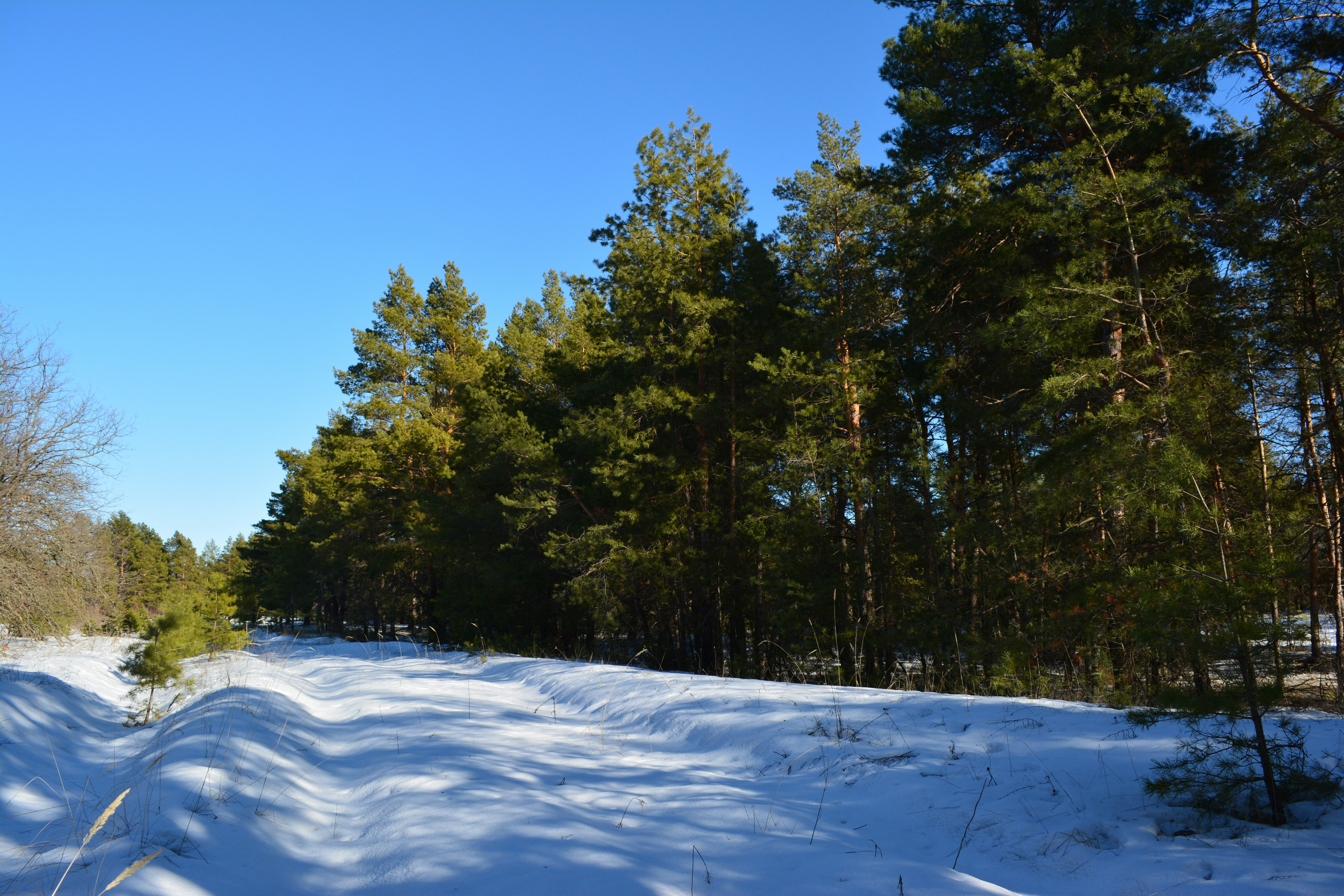 Photo by patronusmoon