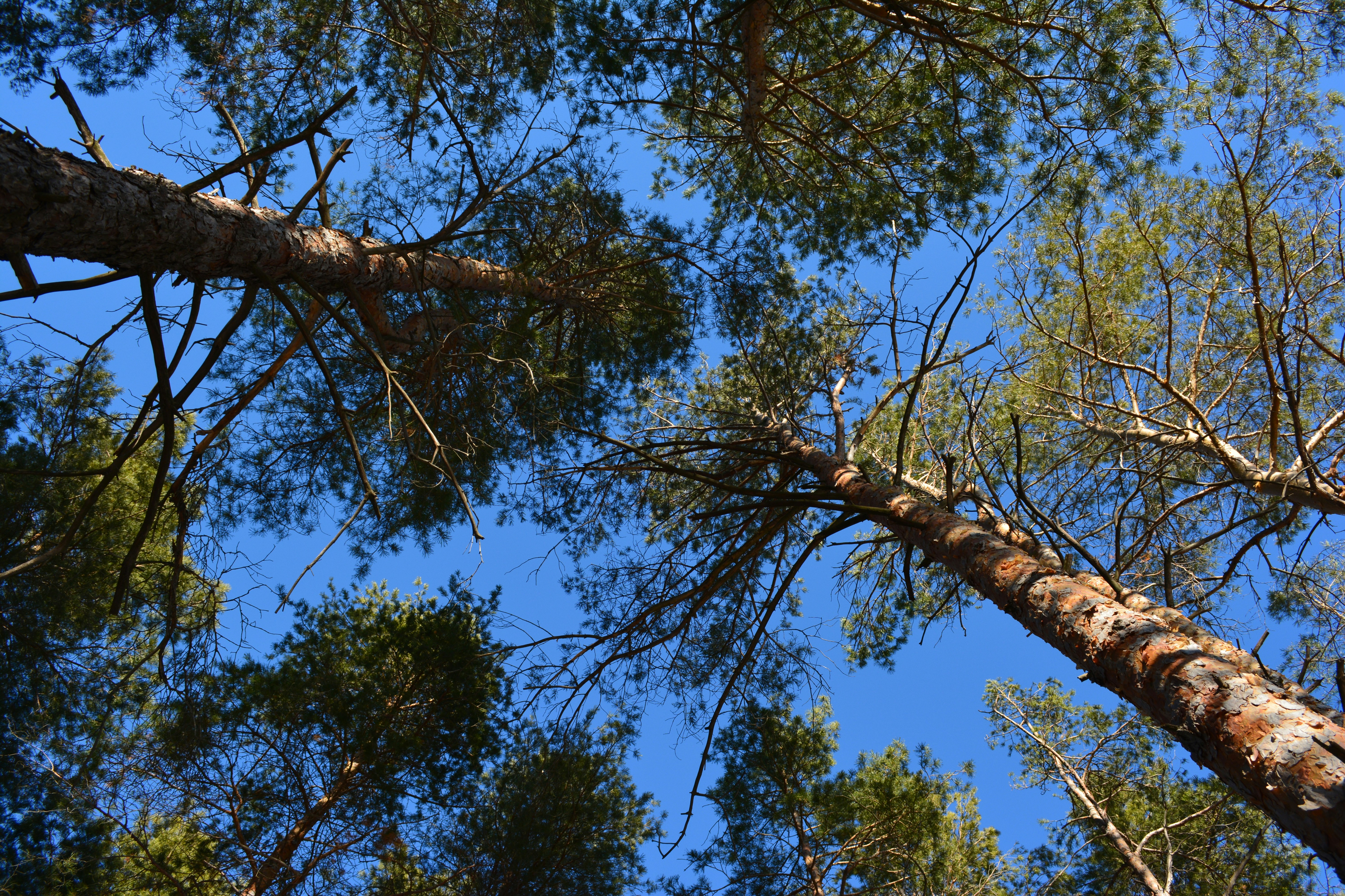 Photo by patronusmoon