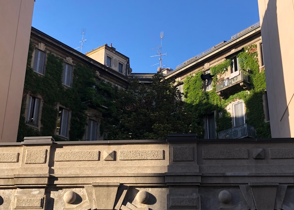 a building with trees in the back