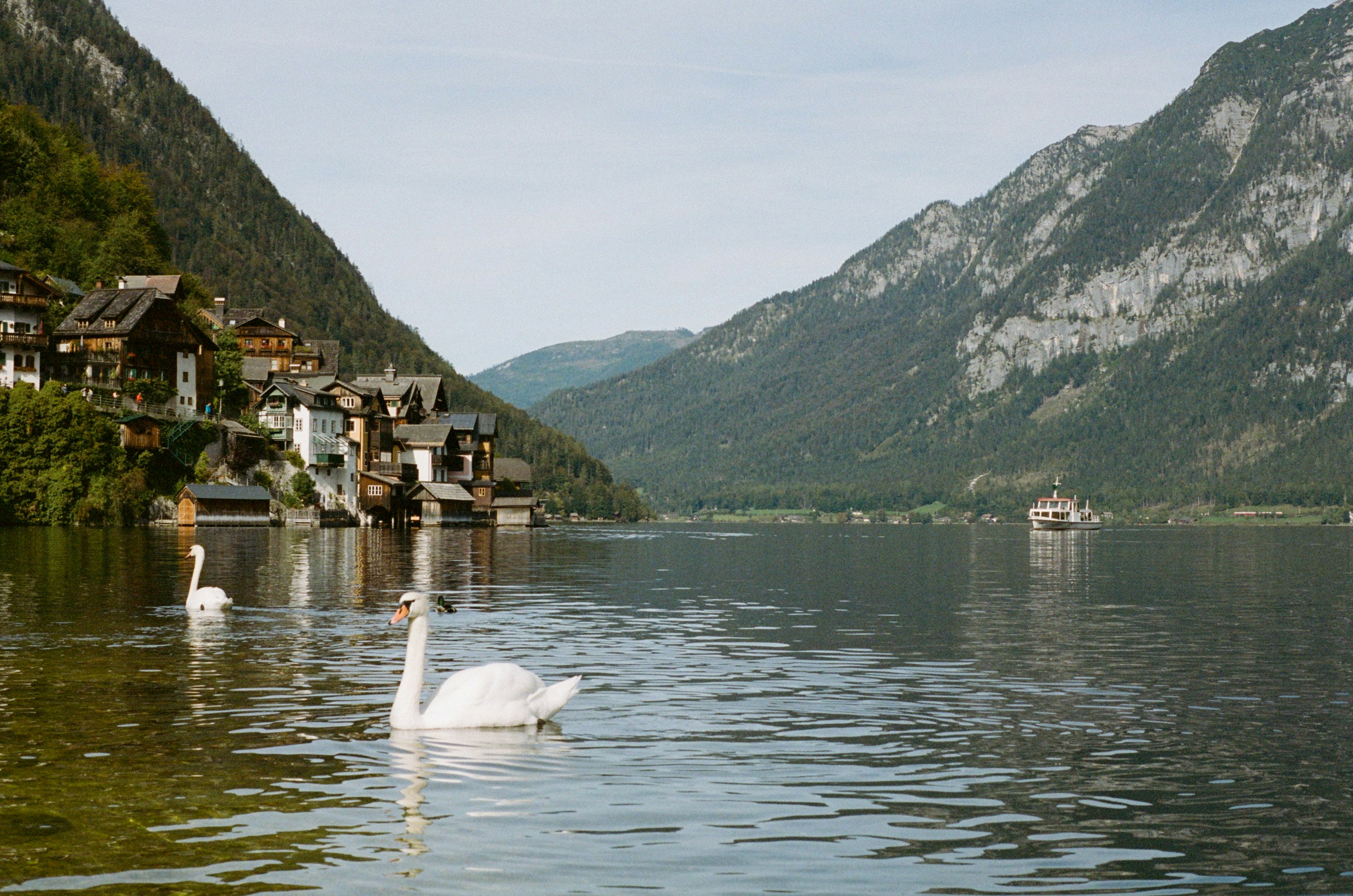 Photo by jeancarloemer