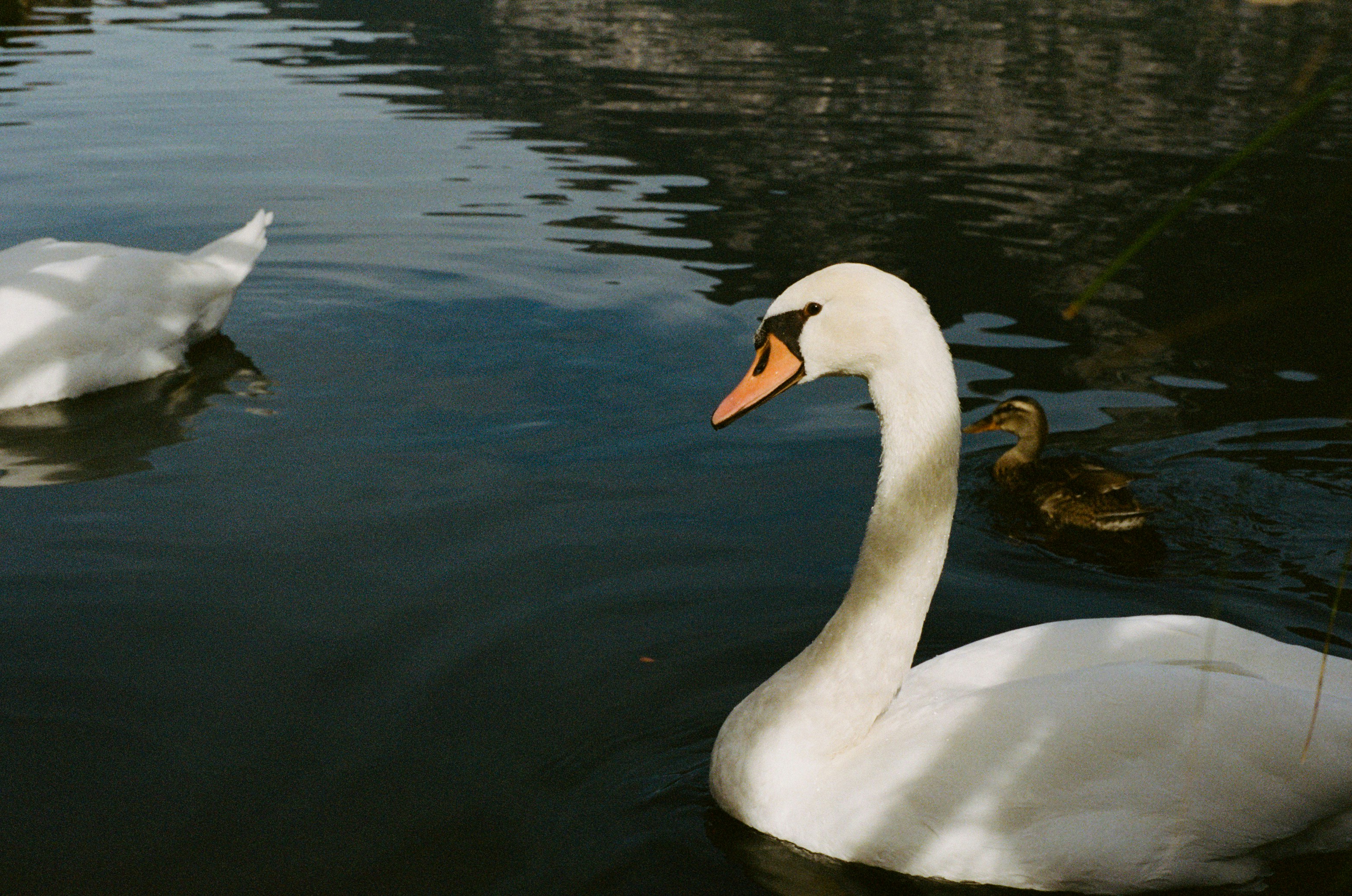 Photo by jeancarloemer