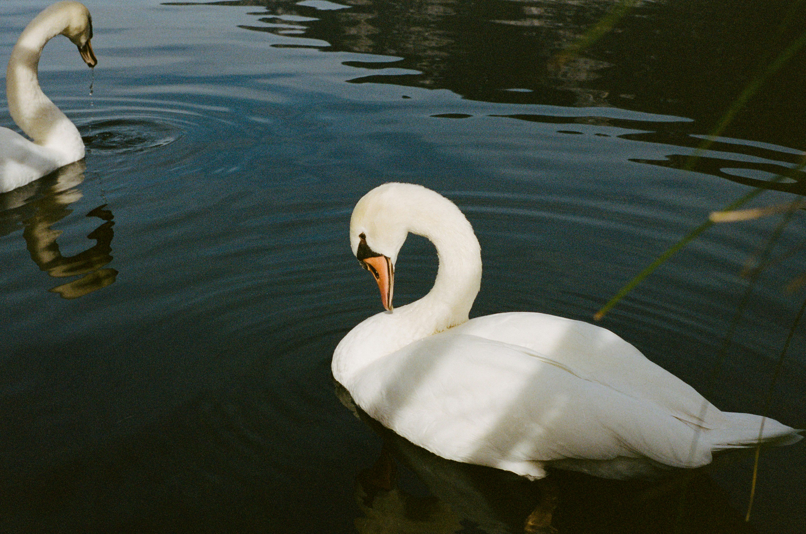 Photo by jeancarloemer