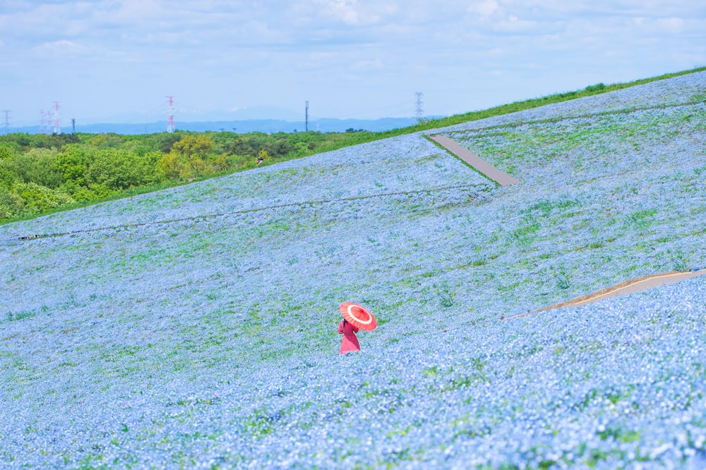 a person walking through a field of flowers