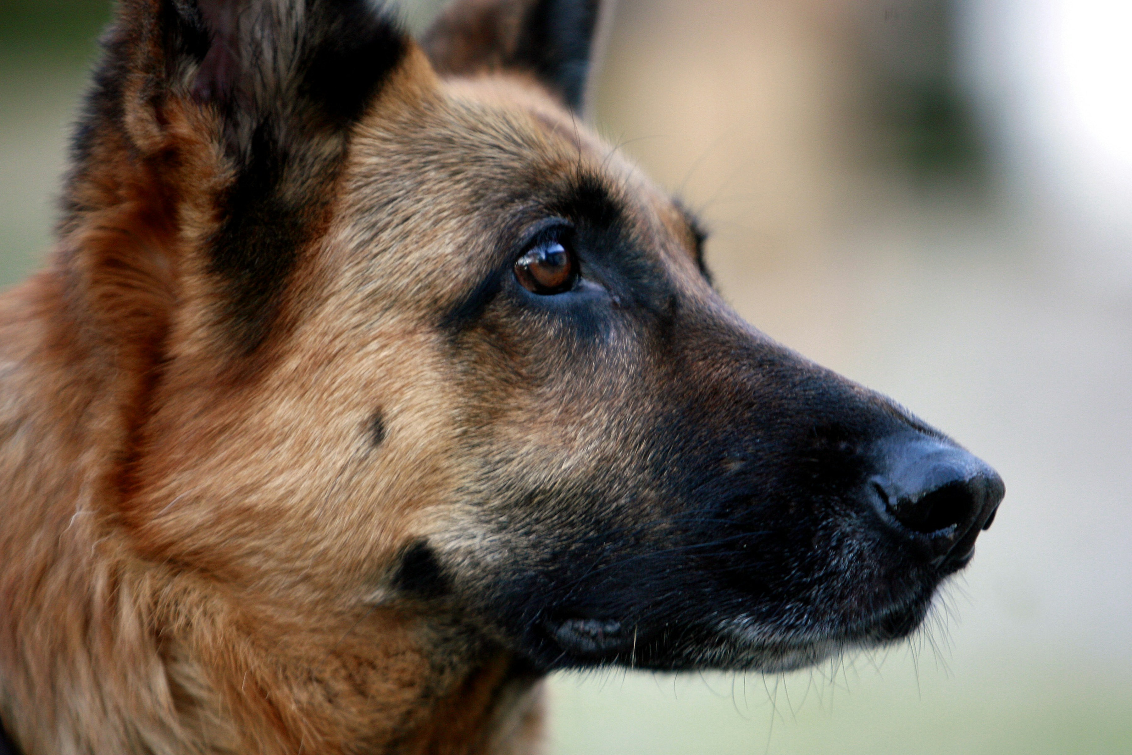 As Time Runs Out: Living with Purpose on the Edge of Collapse