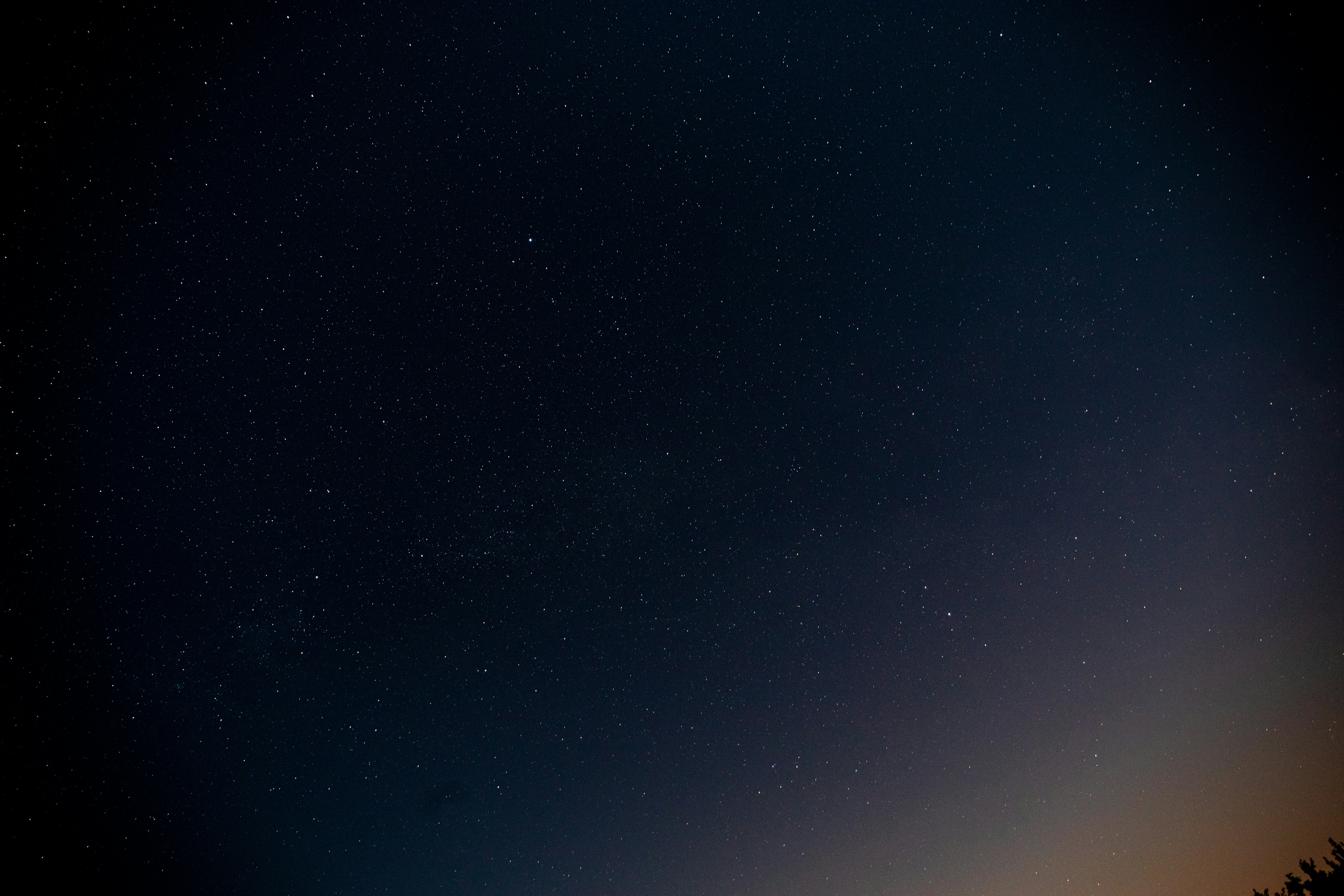 Photo by linasilivanova