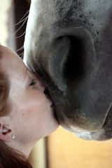 A close-up of a smiling rider interacting with their horse.