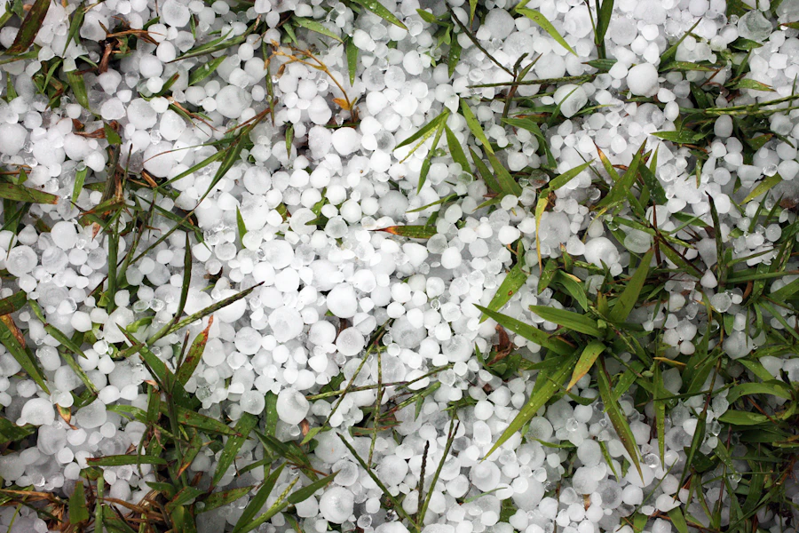 Hail covering a lawn