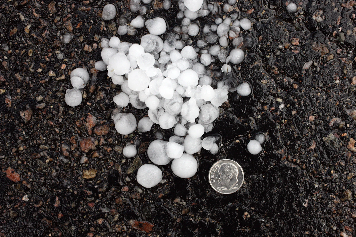 Hailstones on dark soil beside a coin for scale