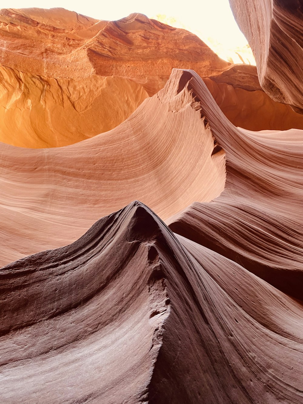 a close-up of a canyon