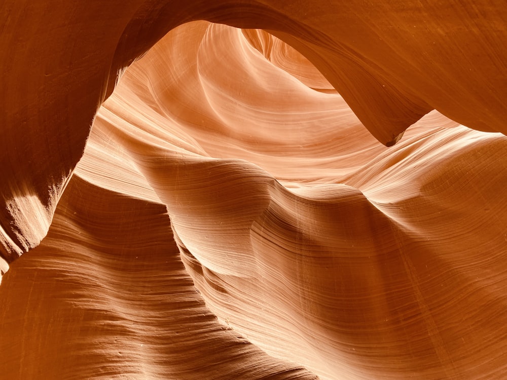 a close-up of a person's hair