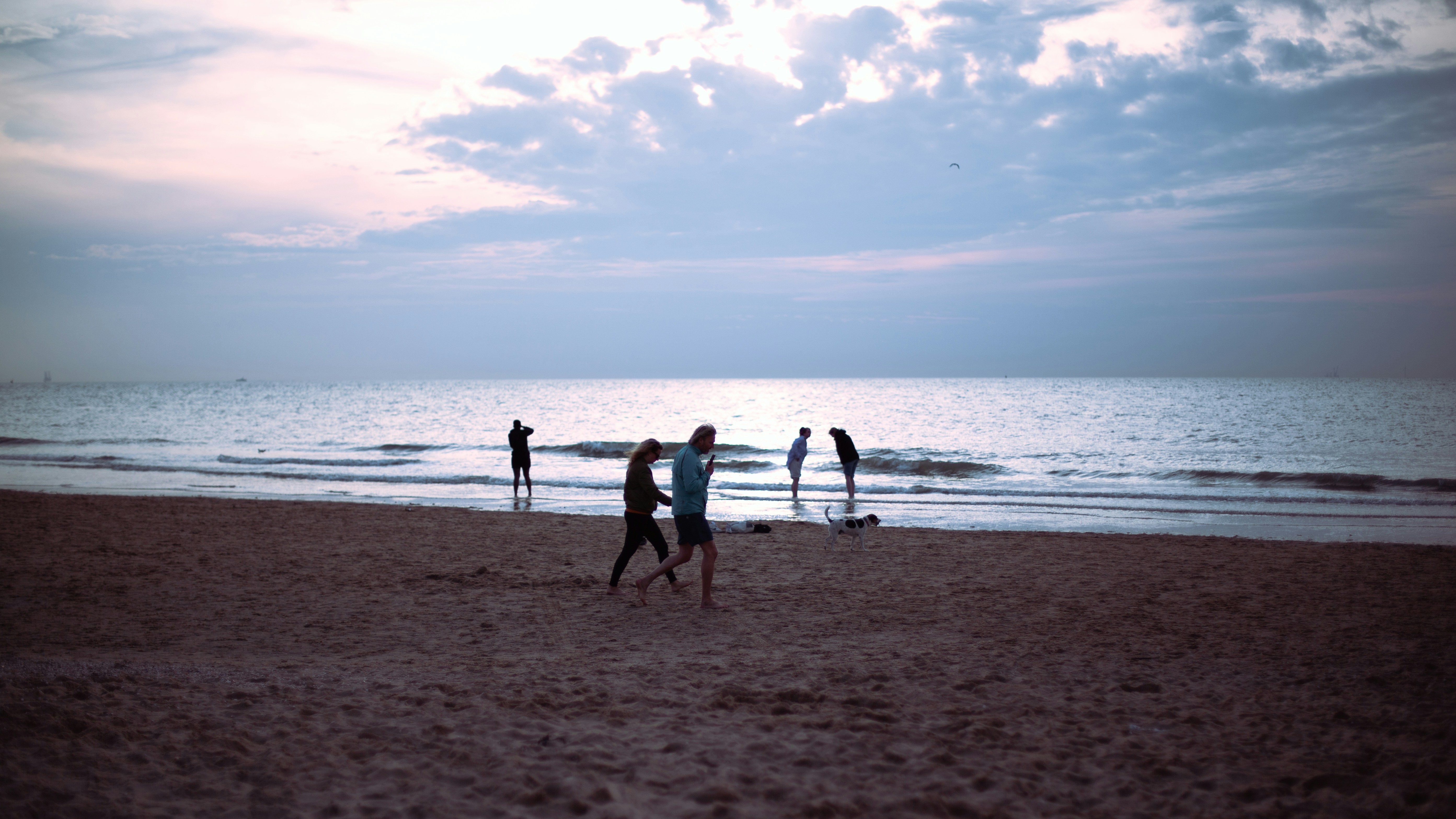 Afbeelding van 's-Gravenhage