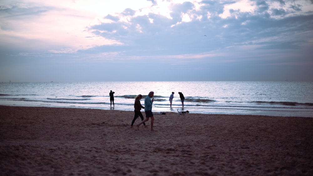 people on a beach