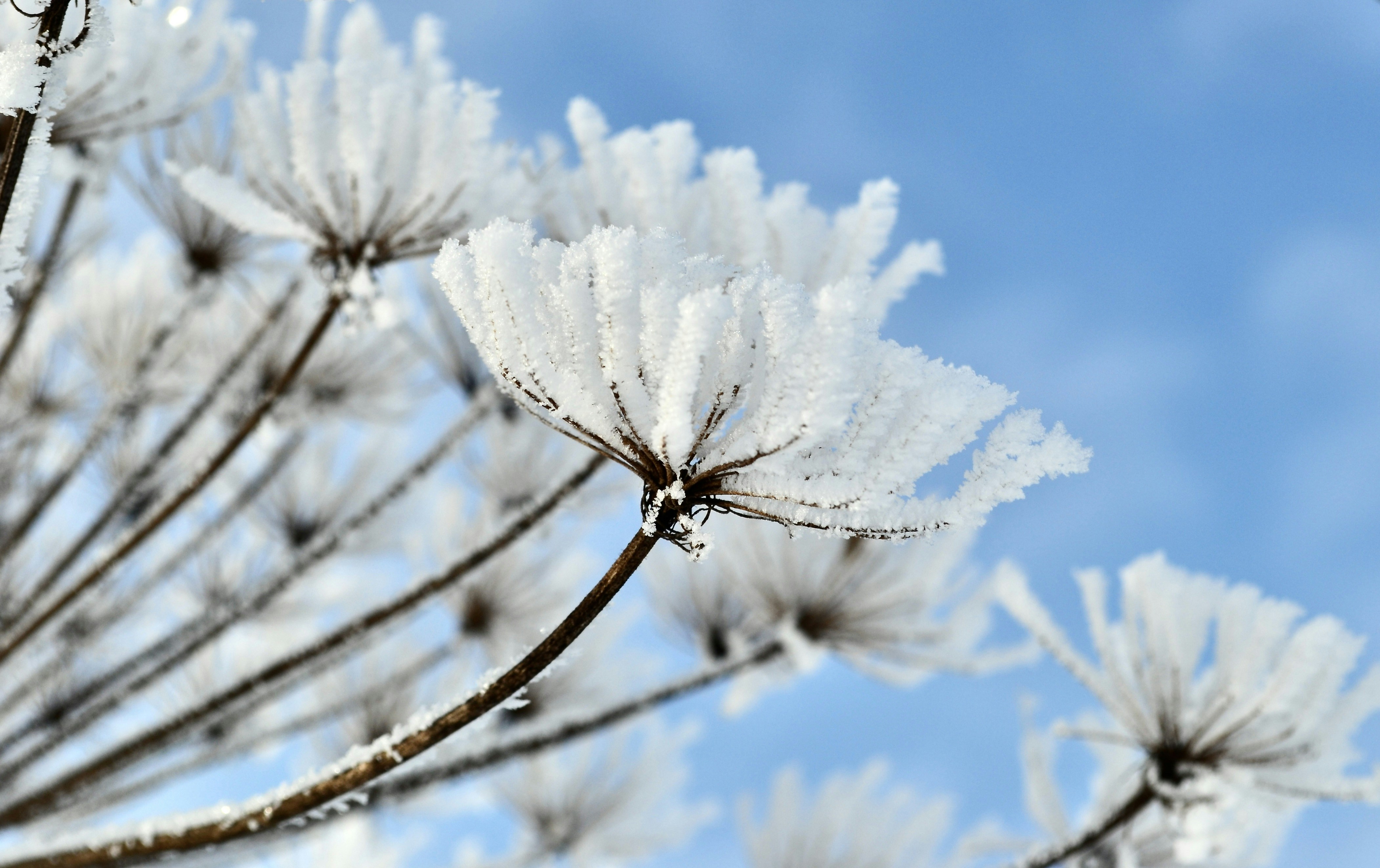 Photo by evgenslavin