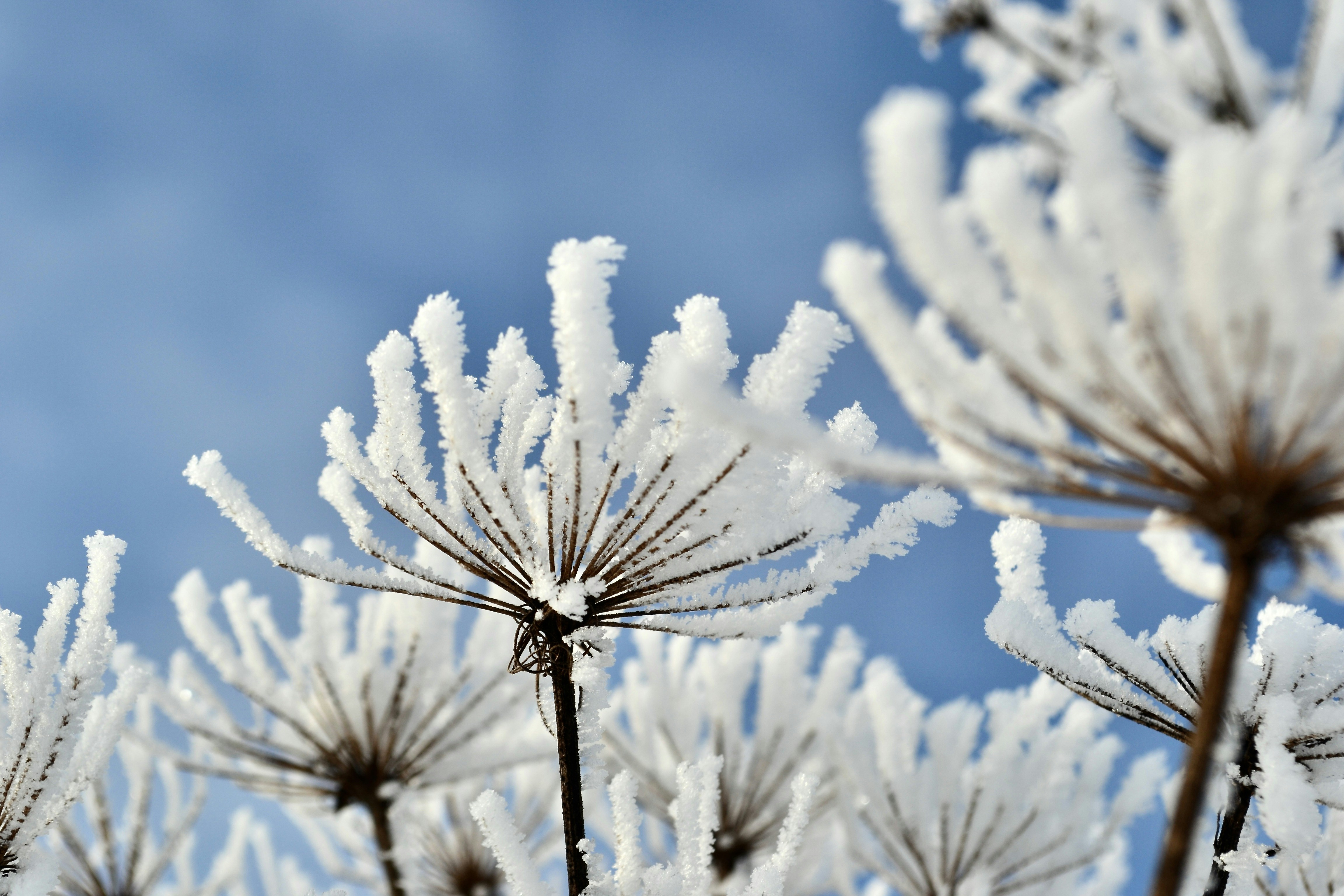 Photo by evgenslavin